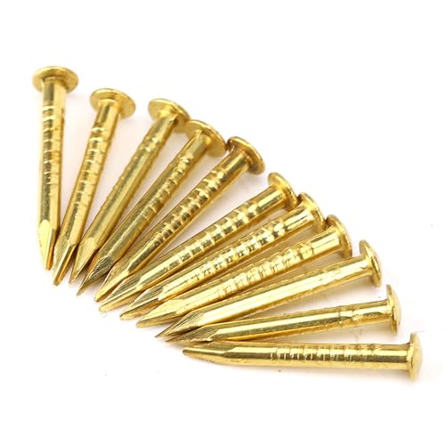 Klanata 100pcs Messing Escutcheon Tacks, Messing Brad Nails Hardware Nagel Sortment Kit Möbel Scharnier Hardware Zubehör Runden Kopf 10mm15mm18mm22mmmm (15 mm lang) von Klanata