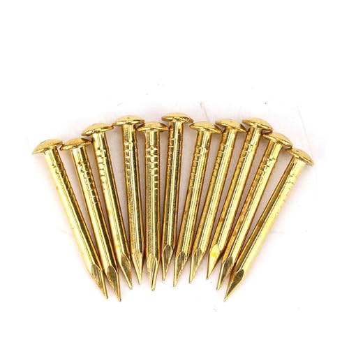Klanata 100pcs Messing Escutcheon Tacks, Messing Brad Nails Hardware Nagel Sortment Kit Möbel Scharnier Hardware Zubehör Runden Kopf 10mm15mm18mm22mmmm (22 mm lang dick) von Klanata