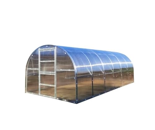 KLASIKA Gewächshaus Baltic LT 3x6m (L x B) mit 6 mm polycarbonat von Klasika