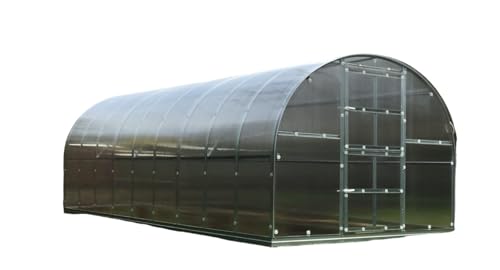 KLASIKA Gewächshaus KLASIKA 24 (3x8m) mit fundamenten und 6mm Polycarbonat von Klasika