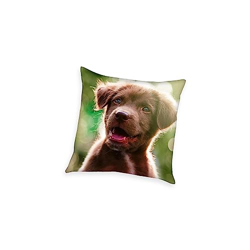 Herding Dekokissen, Young Collection Welpe, 40 x 40 cm, Polyester Herding Dekokissen, Young Collection Welpe, 40 x 40 cm, Polyester von Herding
