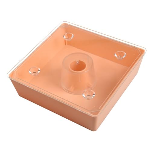 Kleagary Bienenfutterautomat quadratisch 2 Liter Bienenstock Top Feeder Imker Werkzeug Imkerei Feeder mit transparenter Abdeckung vormontiert von Kleagary