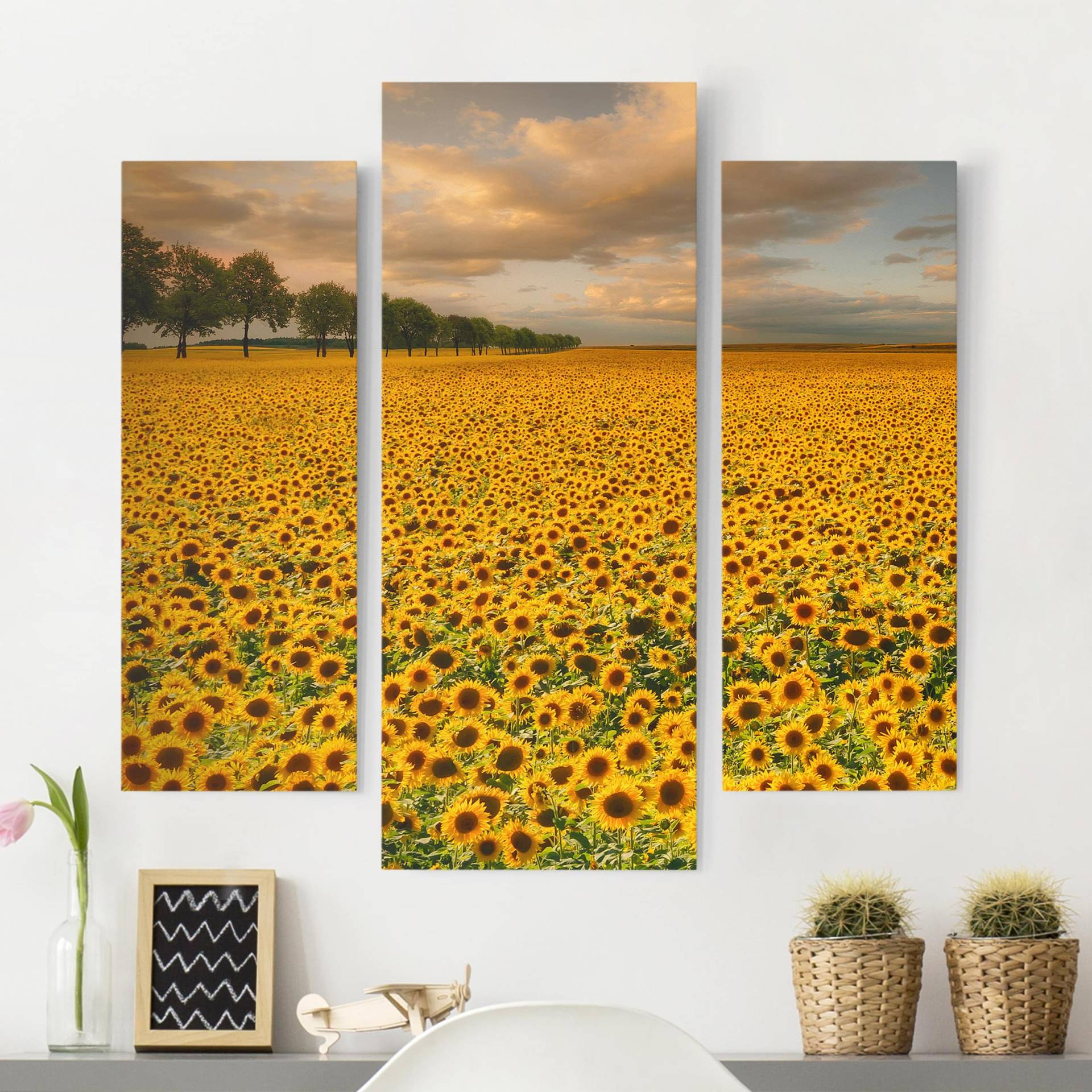 3-teiliges Leinwandbild Blumen Feld mit Sonnenblumen von Klebefieber