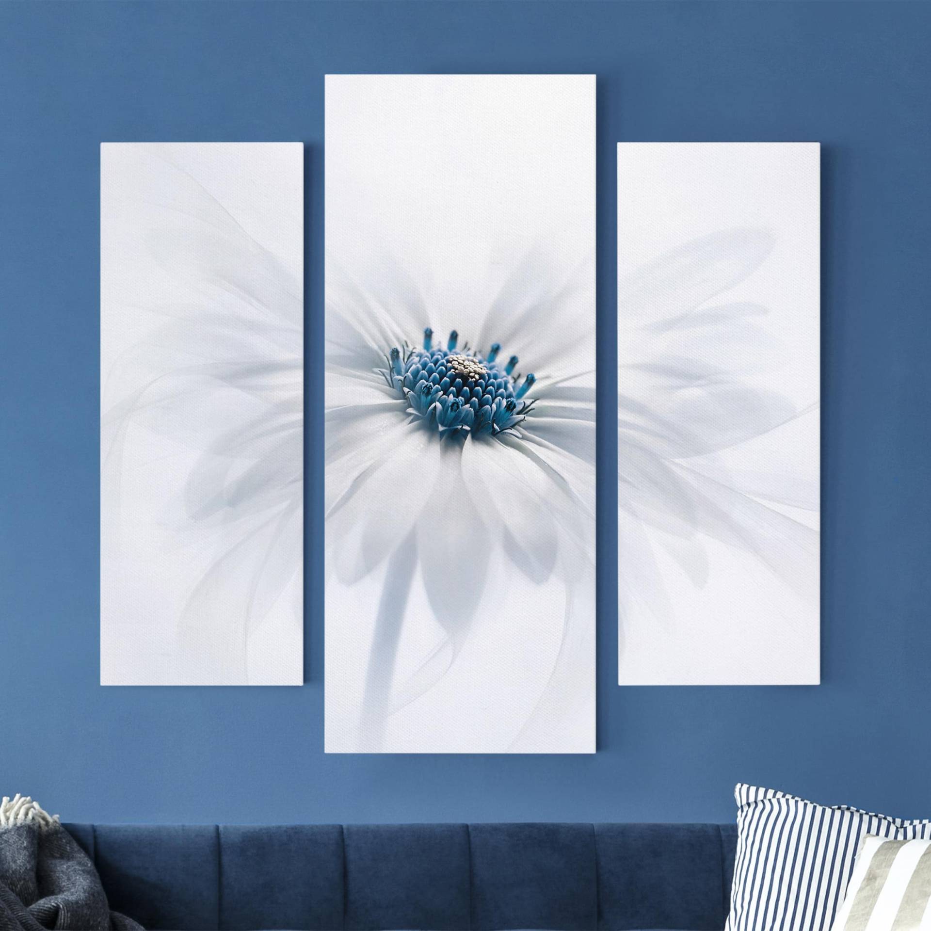 3-teiliges Leinwandbild Blumen Gänseblümchen in Blau von Klebefieber