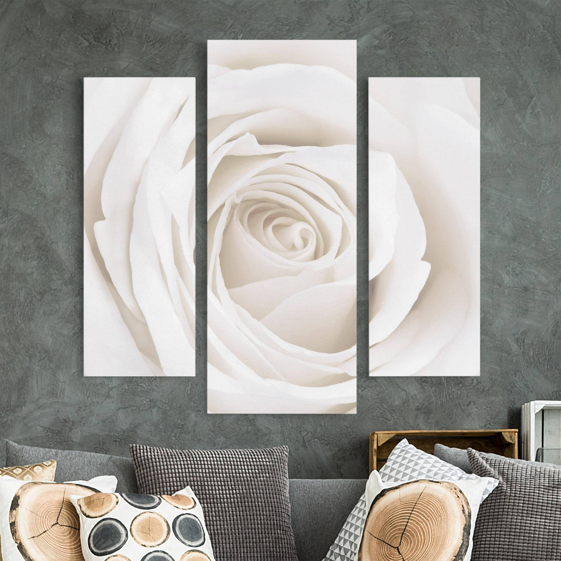 3-teiliges Leinwandbild Blumen Pretty White Rose von Klebefieber