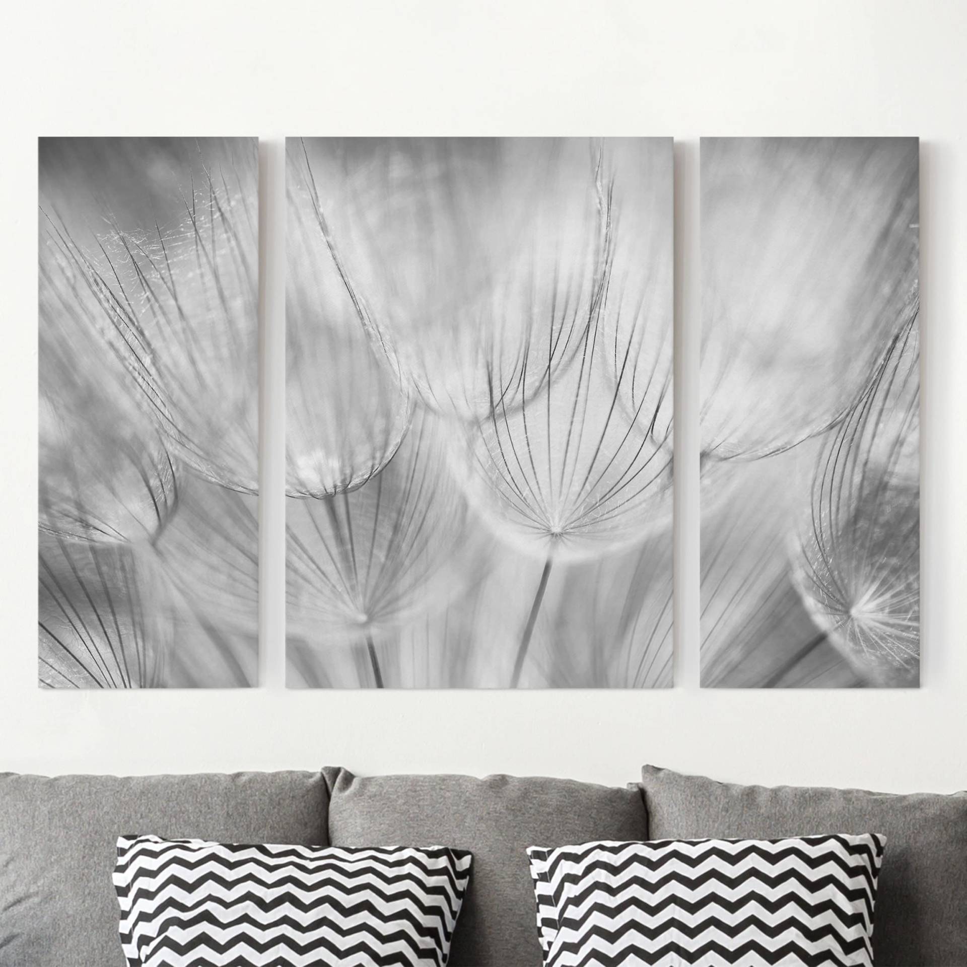 3-teiliges Leinwandbild Blumen Pusteblumen Makroaufnahme in schwarz weiß von Klebefieber