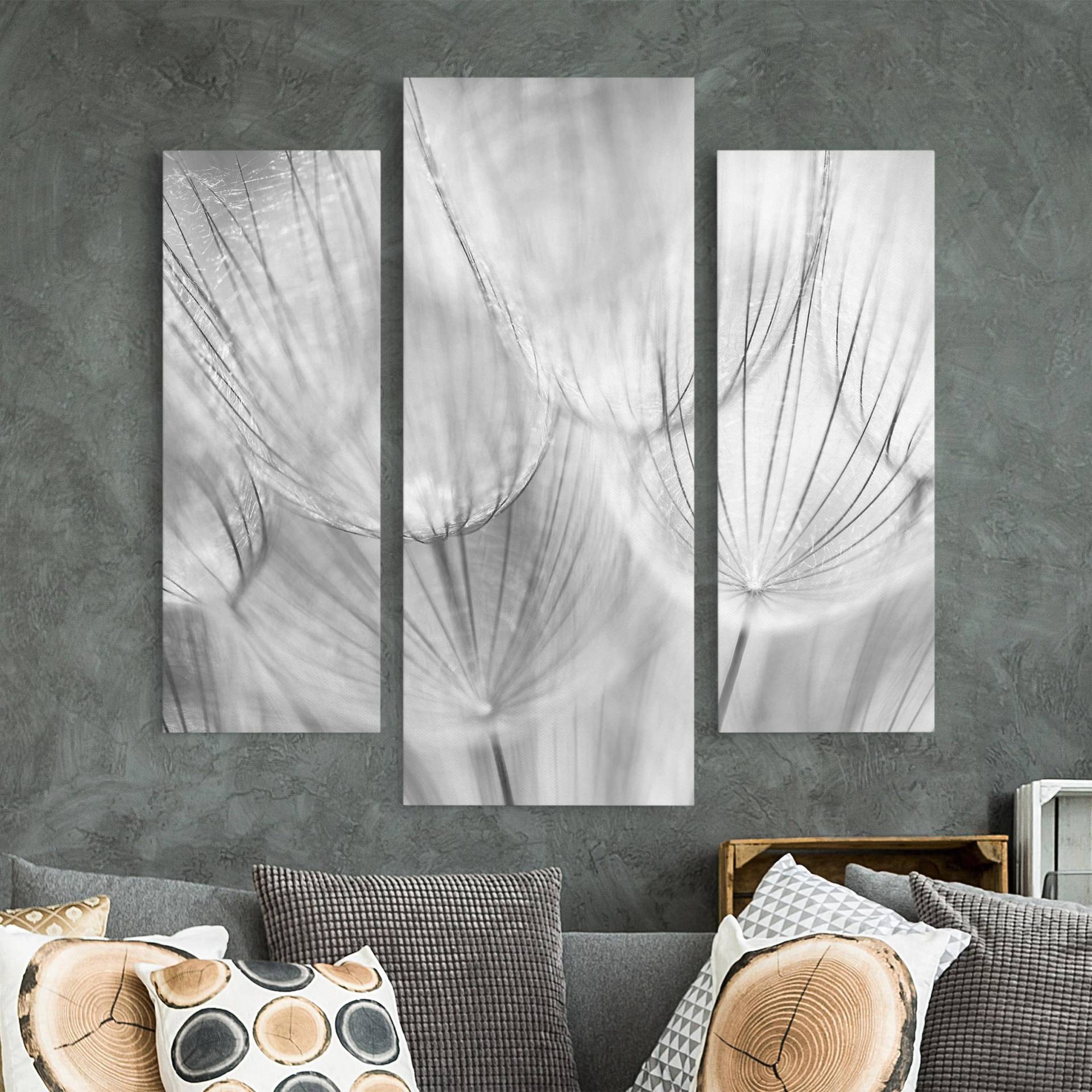 3-teiliges Leinwandbild Blumen Pusteblumen Makroaufnahme in schwarz weiß von Klebefieber