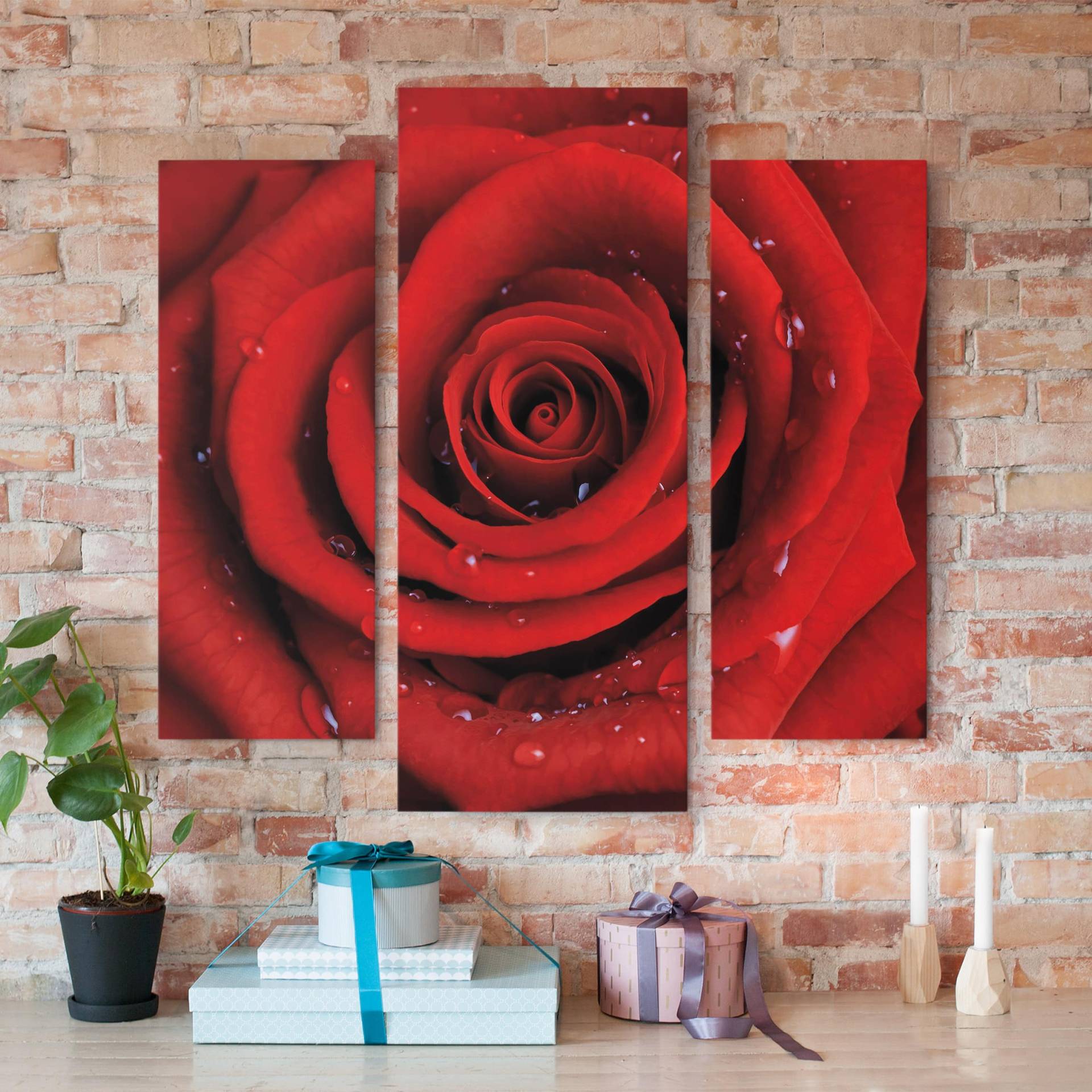 3-teiliges Leinwandbild Blumen Rote Rose mit Wassertropfen von Klebefieber