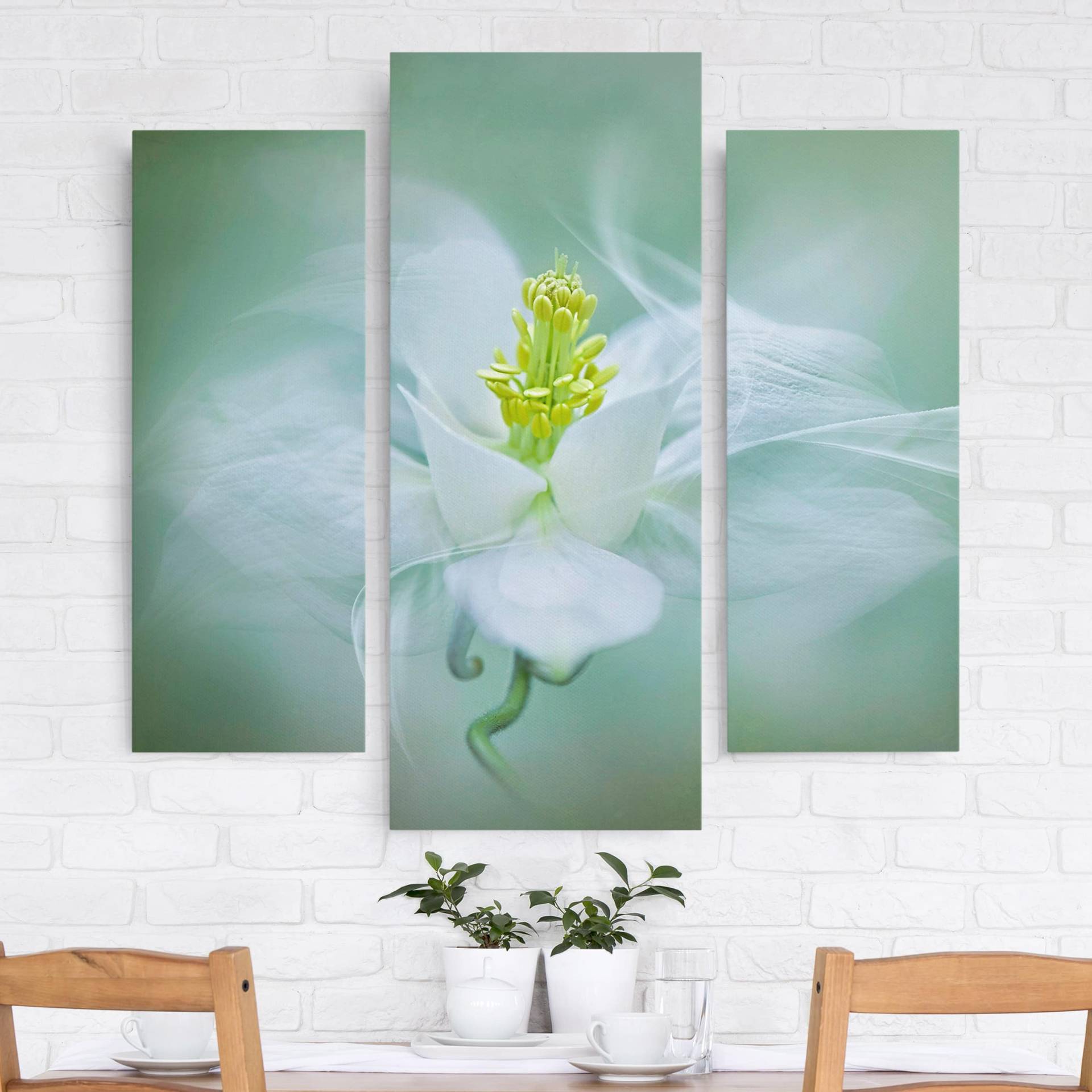 3-teiliges Leinwandbild Blumen Weiße Akelei von Klebefieber