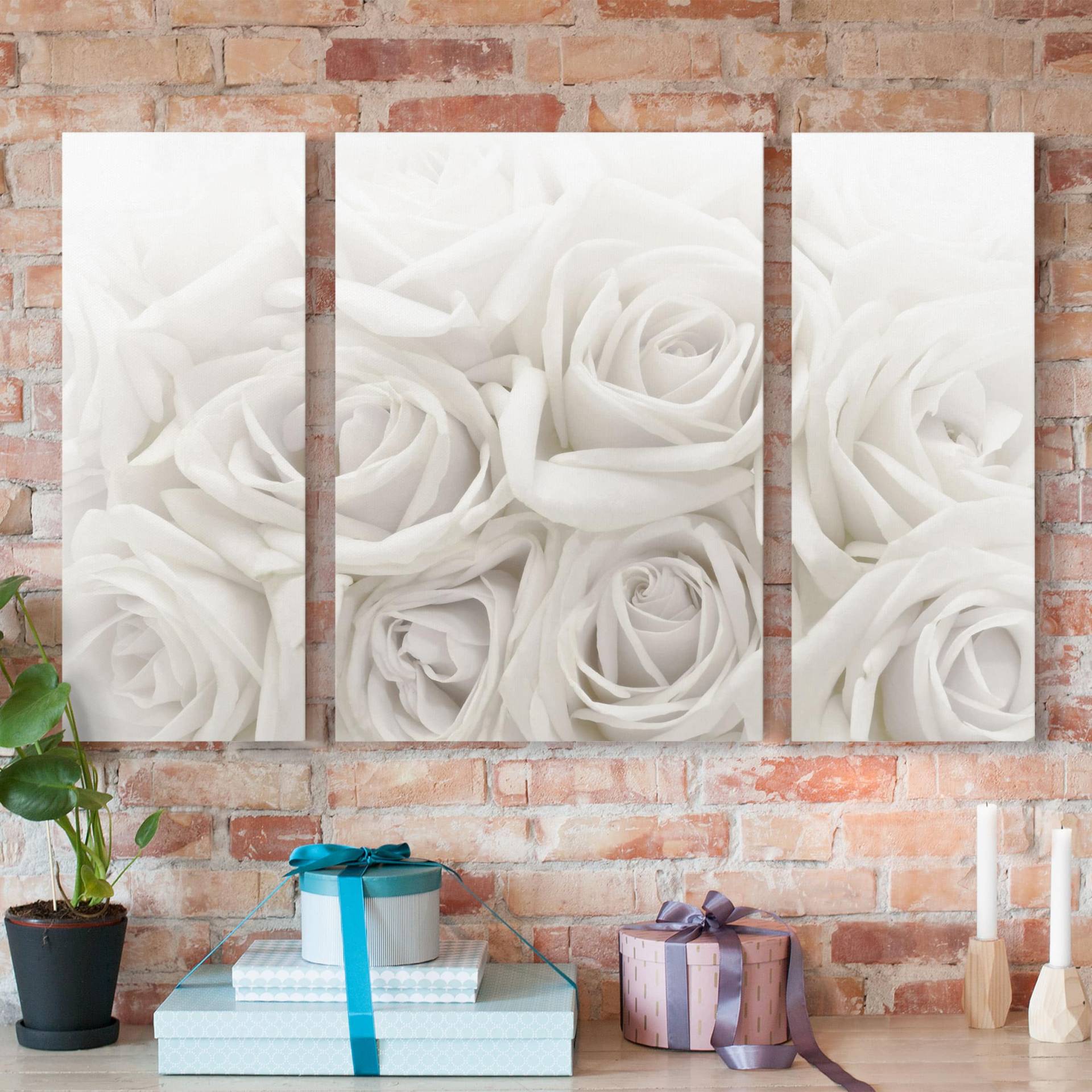 3-teiliges Leinwandbild Blumen Weiße Rosen von Klebefieber