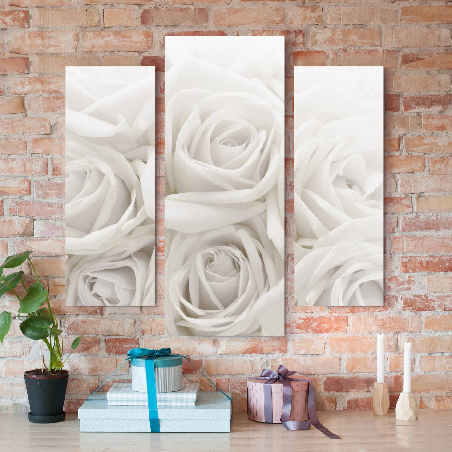 3-teiliges Leinwandbild Blumen Weiße Rosen von Klebefieber