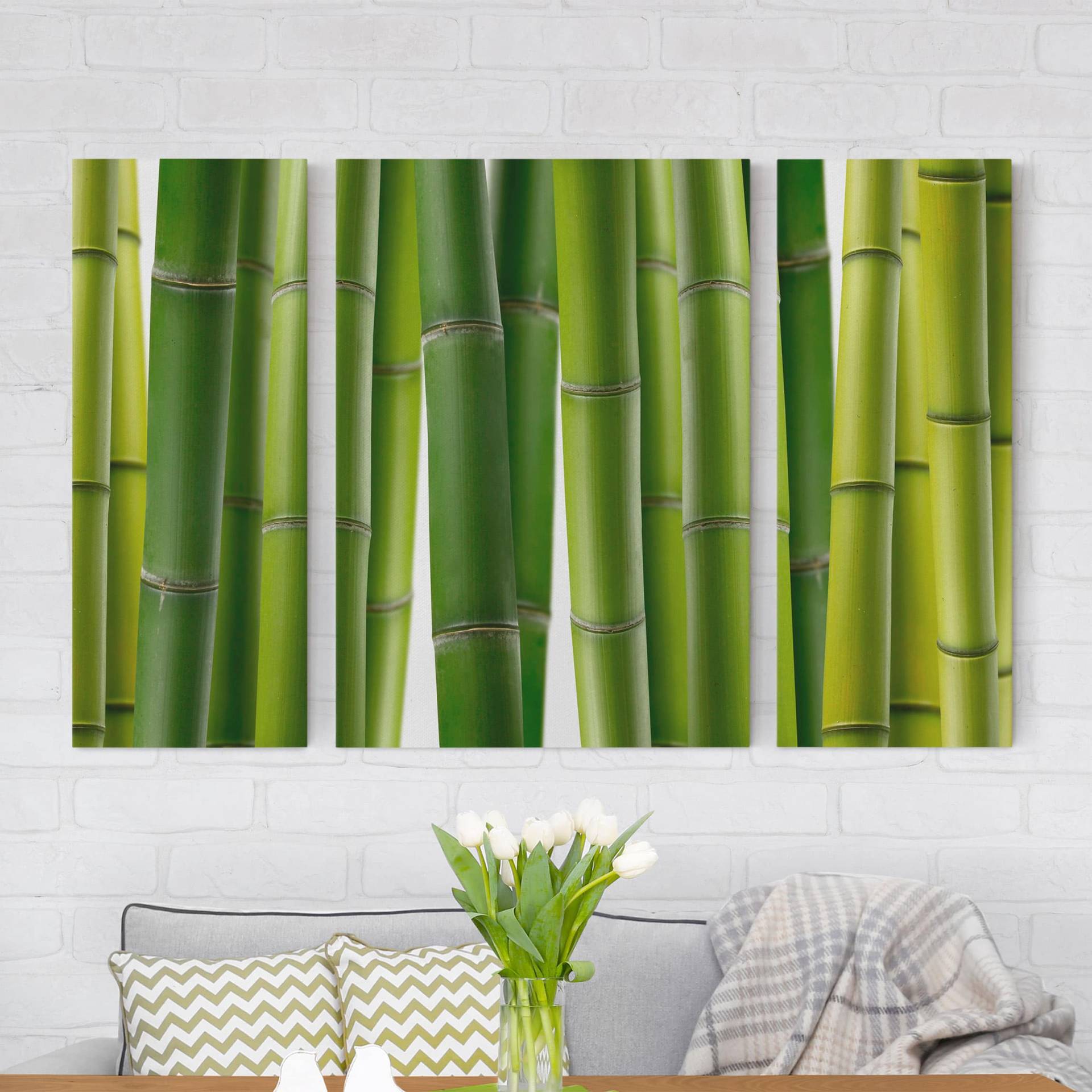 3-teiliges Leinwandbild Wald Bambuspflanzen von Klebefieber