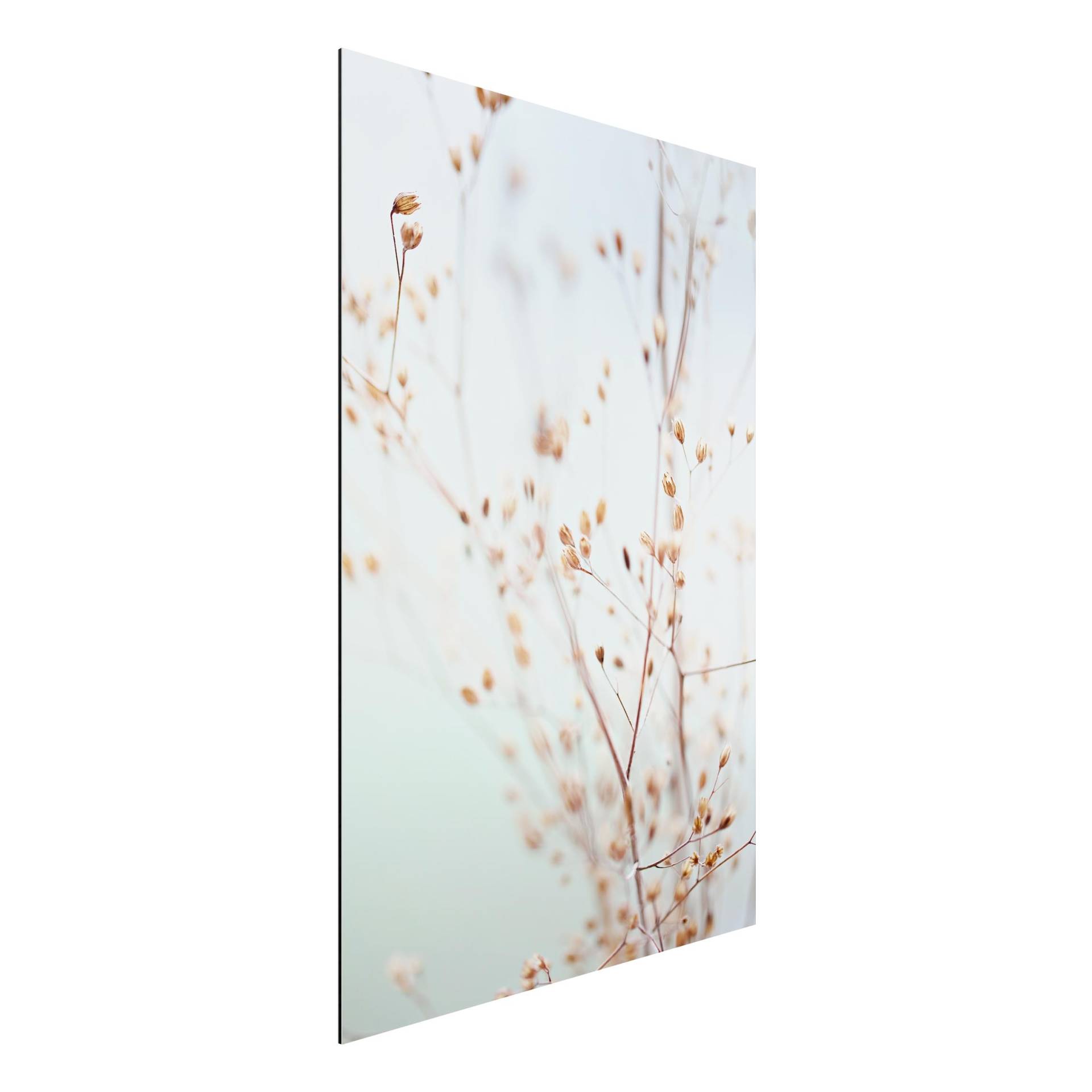 Alu-Dibond Bild Pastellknospen am Wildblumenzweig von Klebefieber