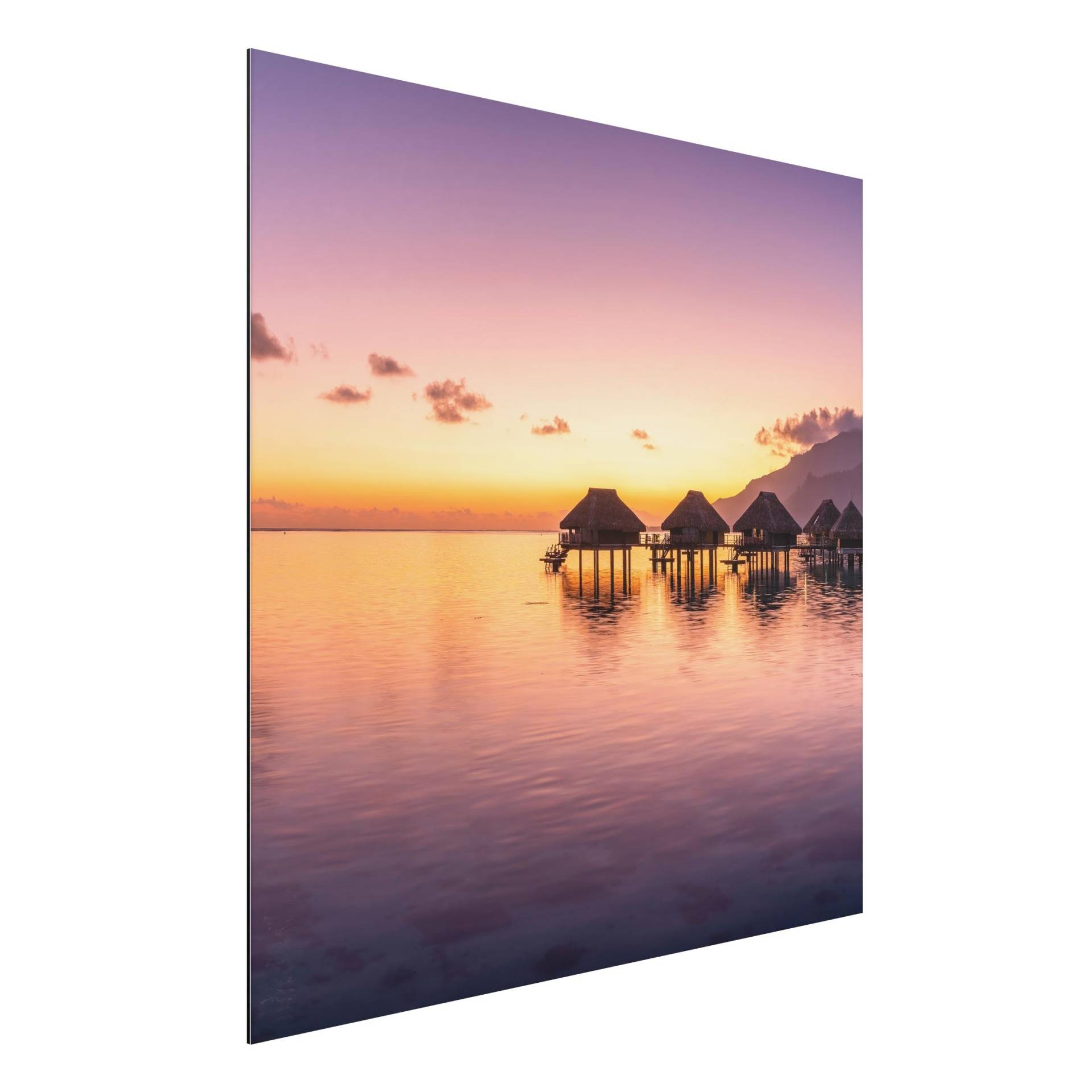Alu-Dibond Bild Sunset Dream von Klebefieber