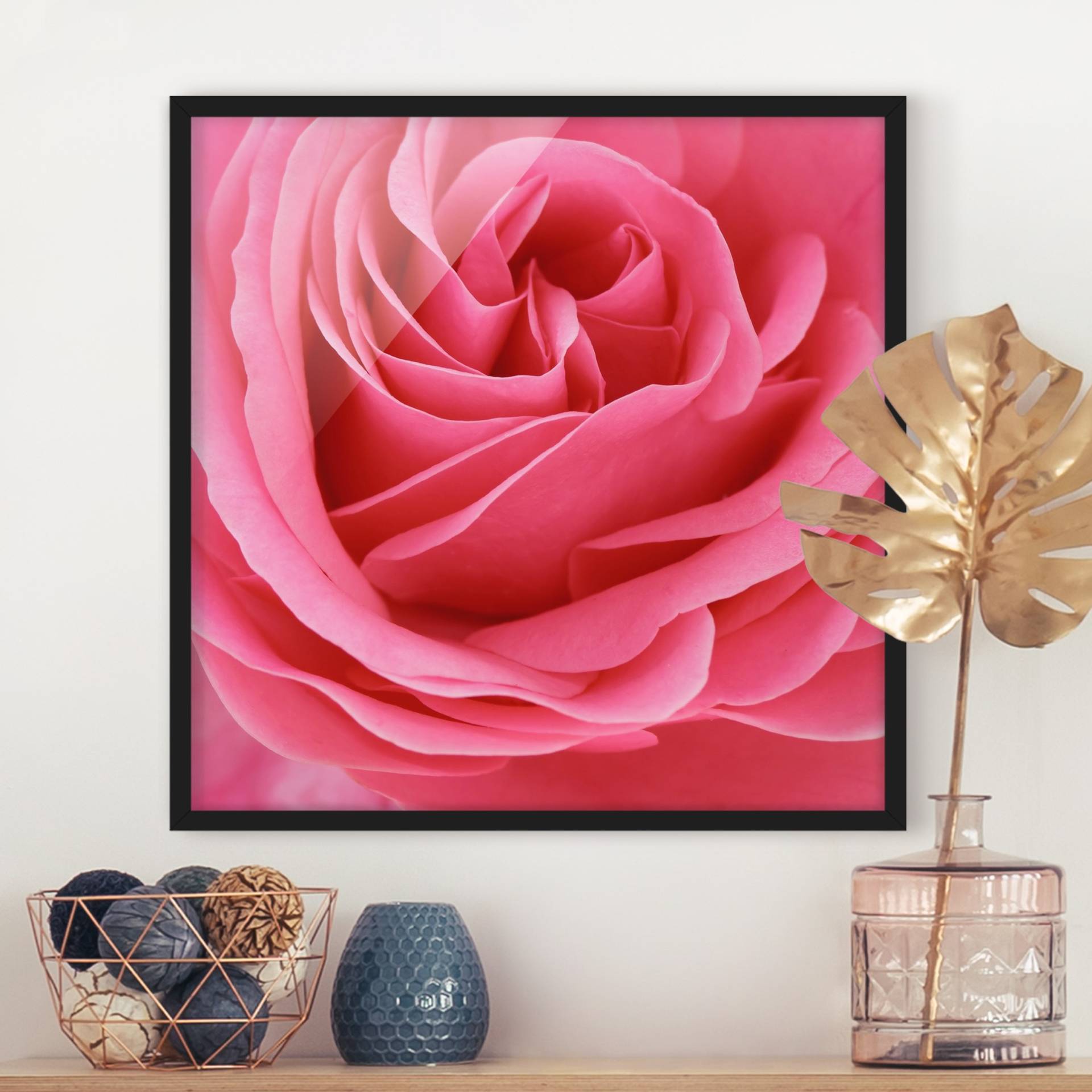 Blumen Bild mit Rahmen Lustful Pink Rose von Klebefieber