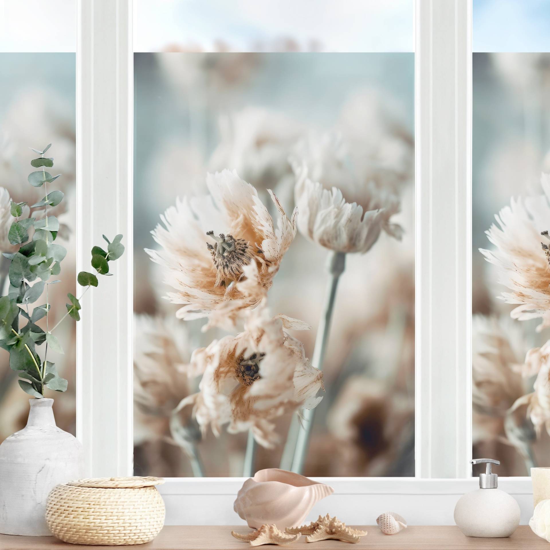Fensterfolie Blumen Nahaufnahme von Klebefieber