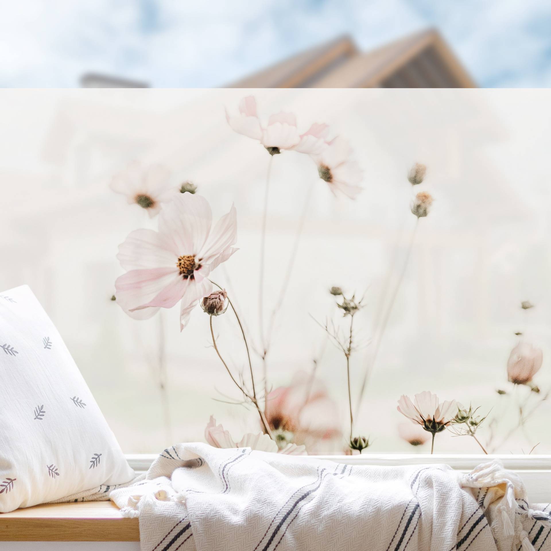 Fensterfolie Cosmea in zarten Cremetönen von Klebefieber