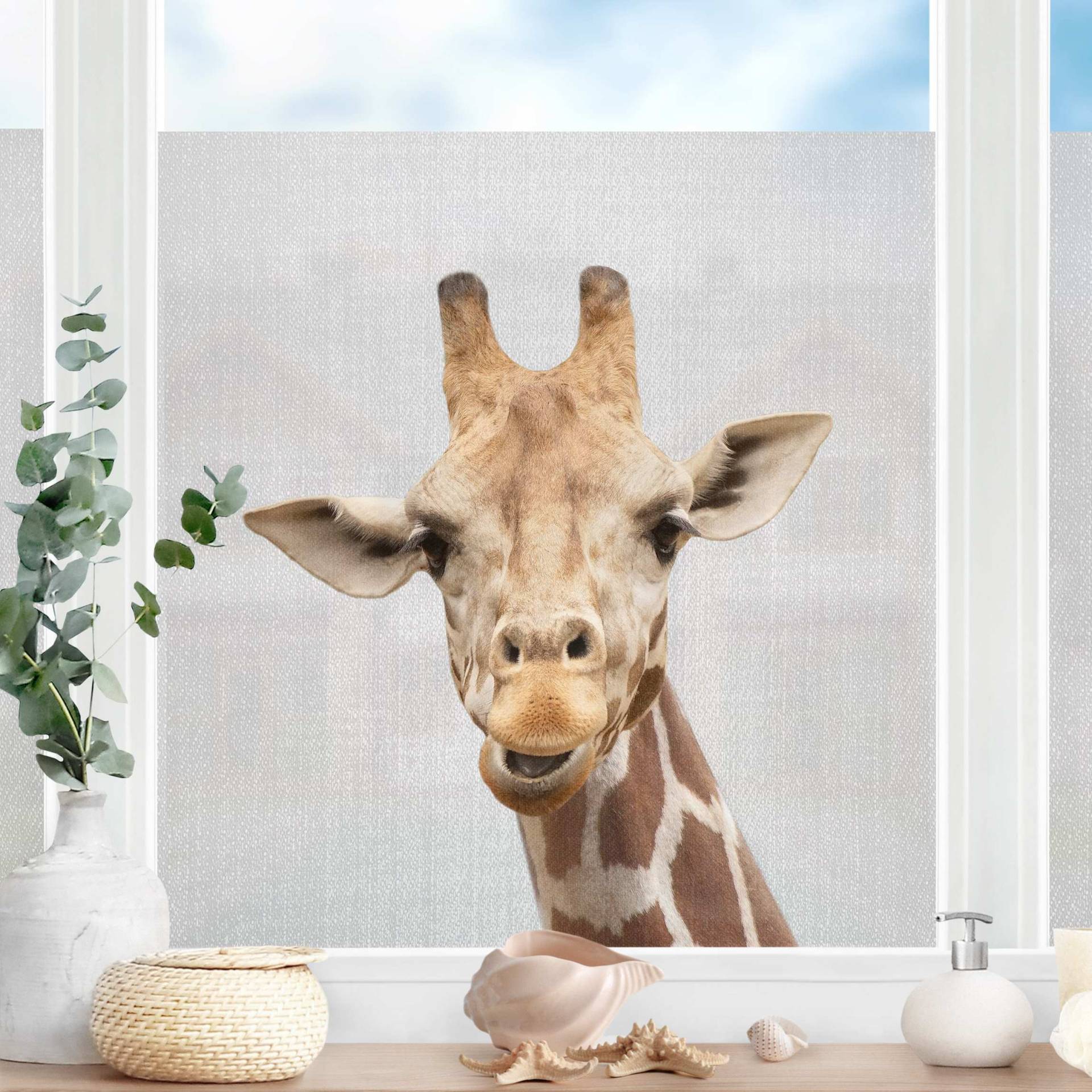 Fensterfolie Giraffe Gundel von Klebefieber