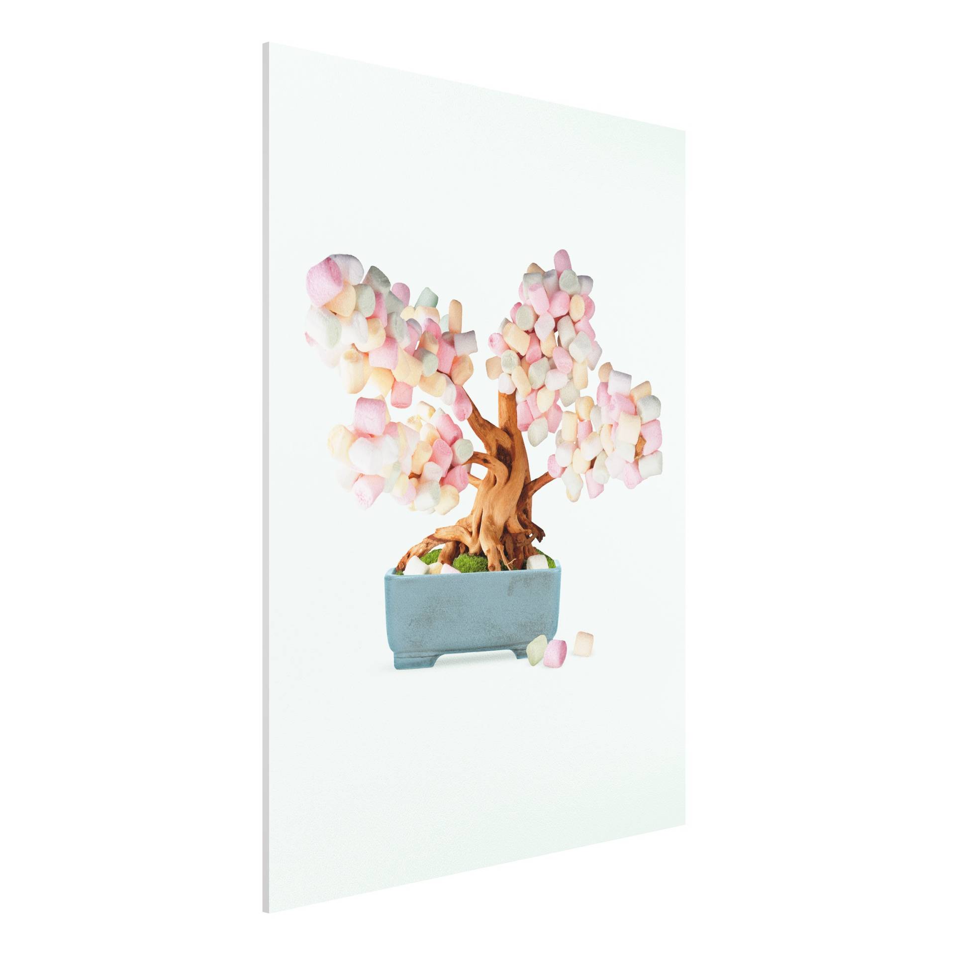 Forexbild Bonsai mit Marshmallows von Klebefieber