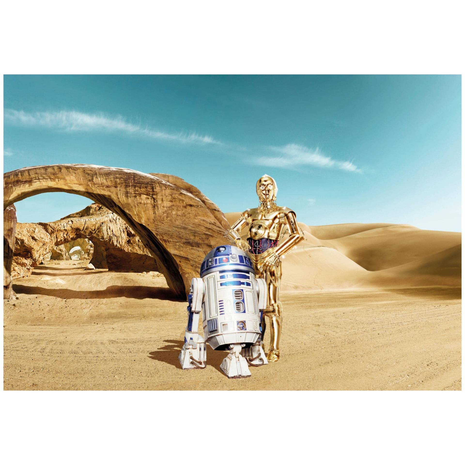 Fototapete Star Wars - C-3PO & R2-D2 Tatooine von Klebefieber