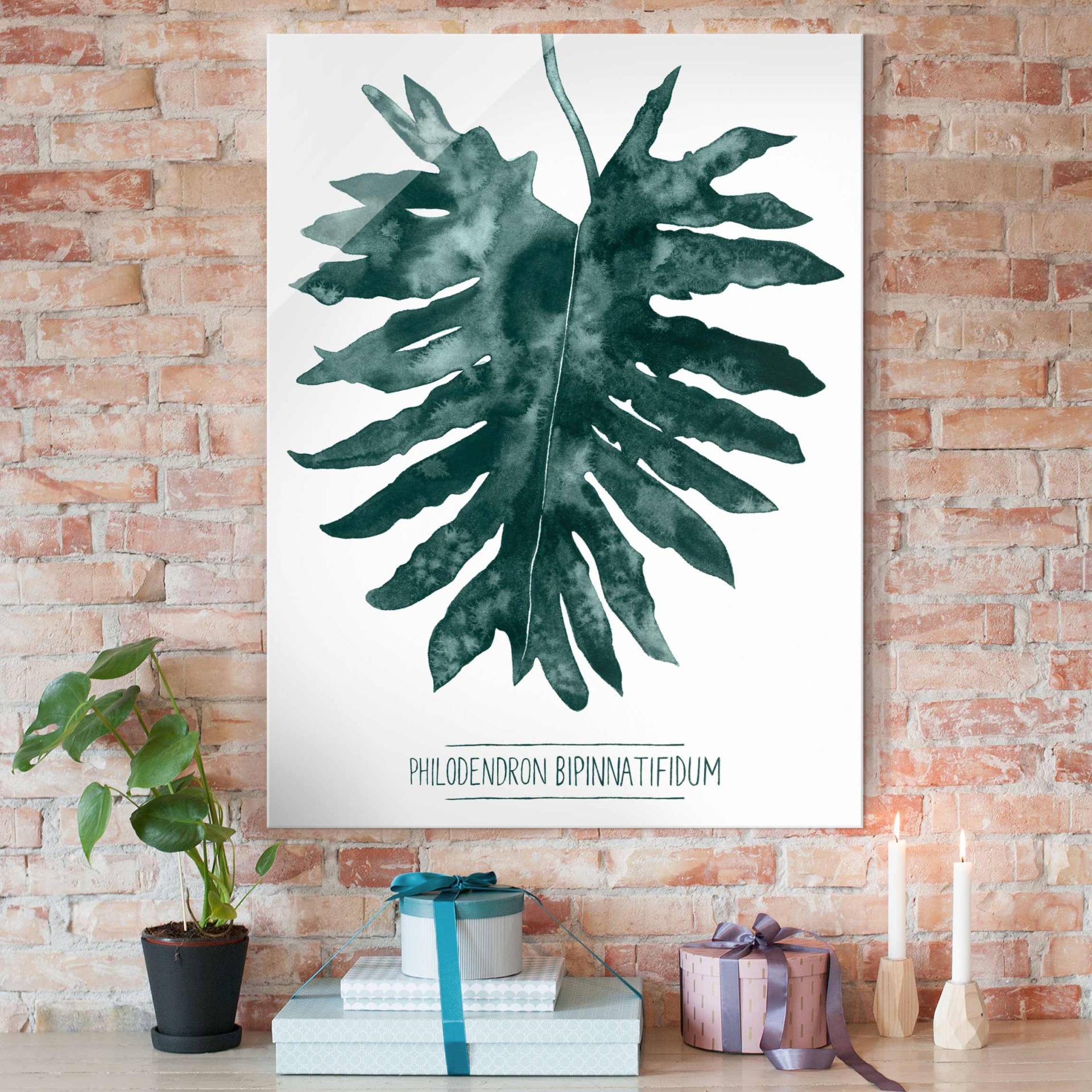 Glasbild Blumen Smaragdgrüner Philodendron Bipinnatifidum von Klebefieber