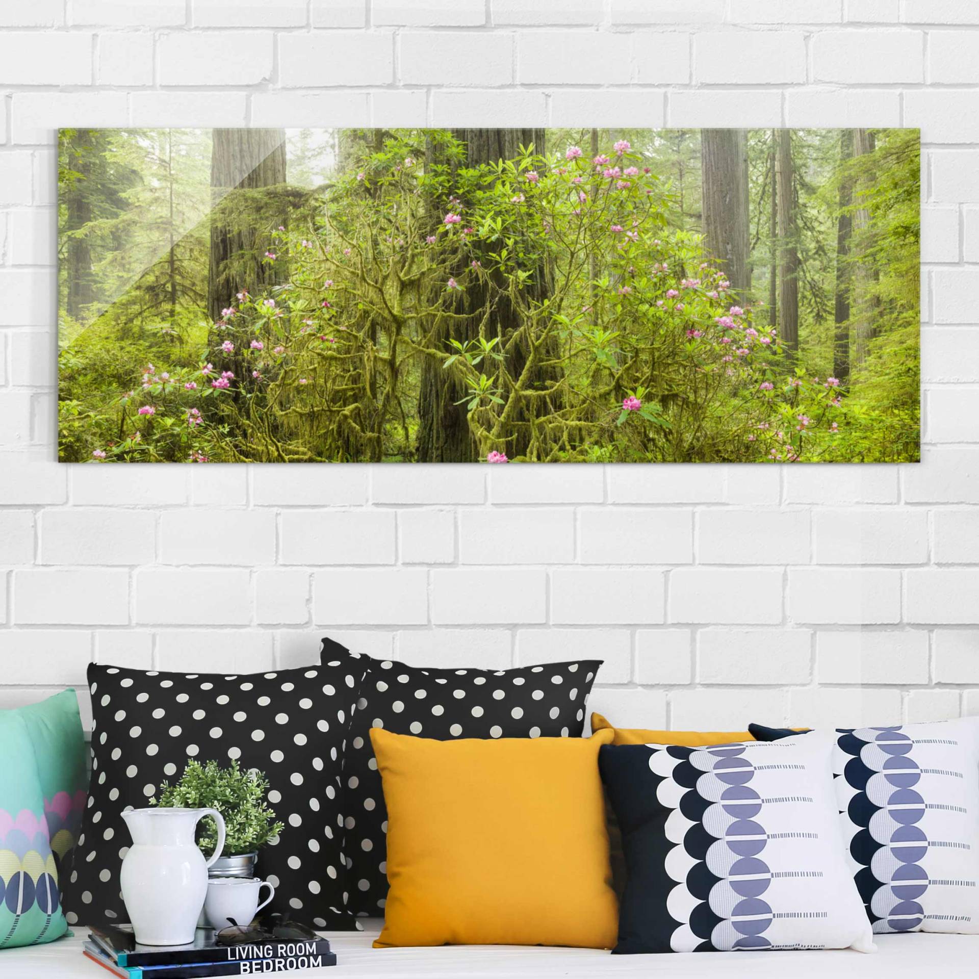 Glasbild Natur & Landschaft Del Norte Coast Redwoods State Park Kalifornien von Klebefieber