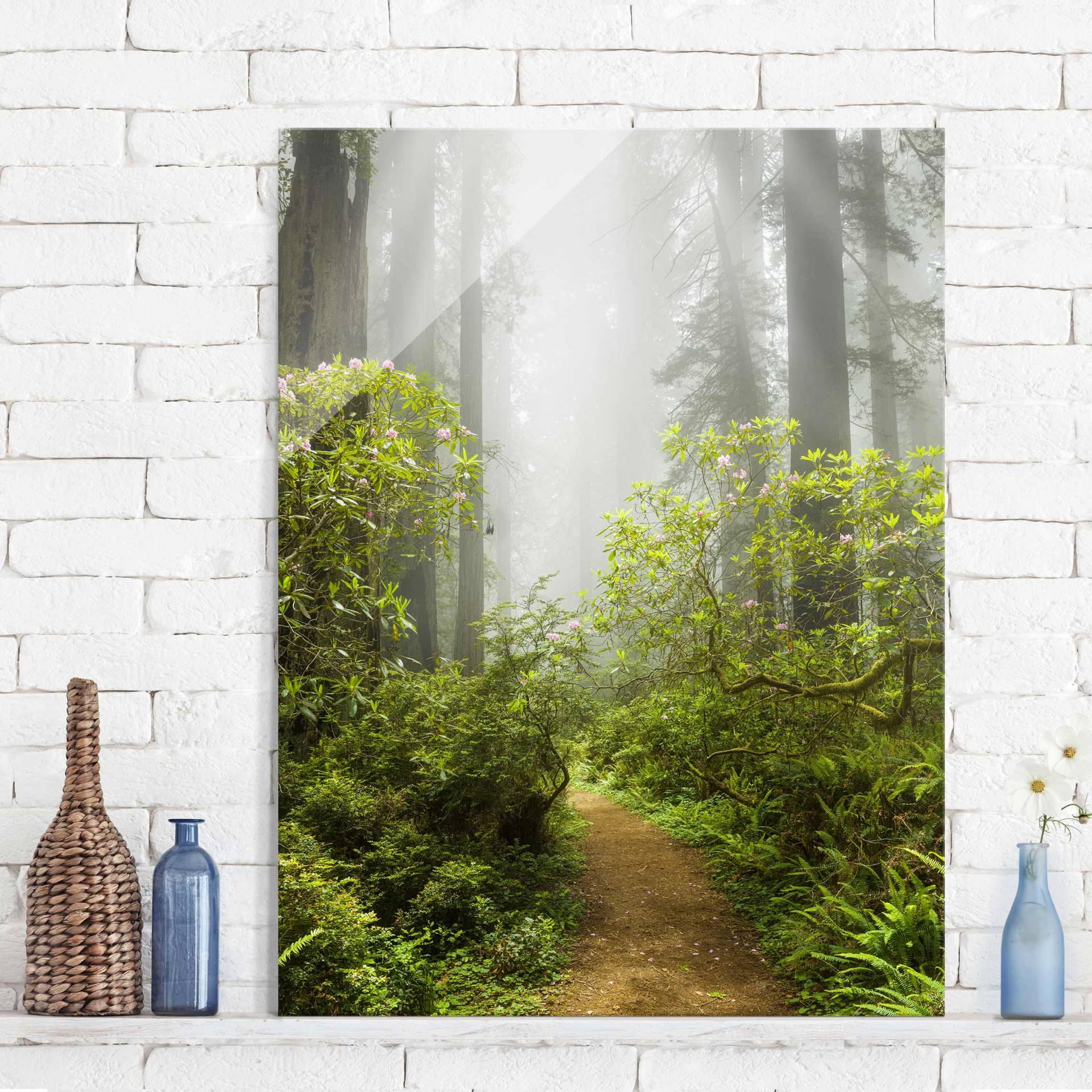 Glasbild Natur & Landschaft Nebliger Waldpfad von Klebefieber