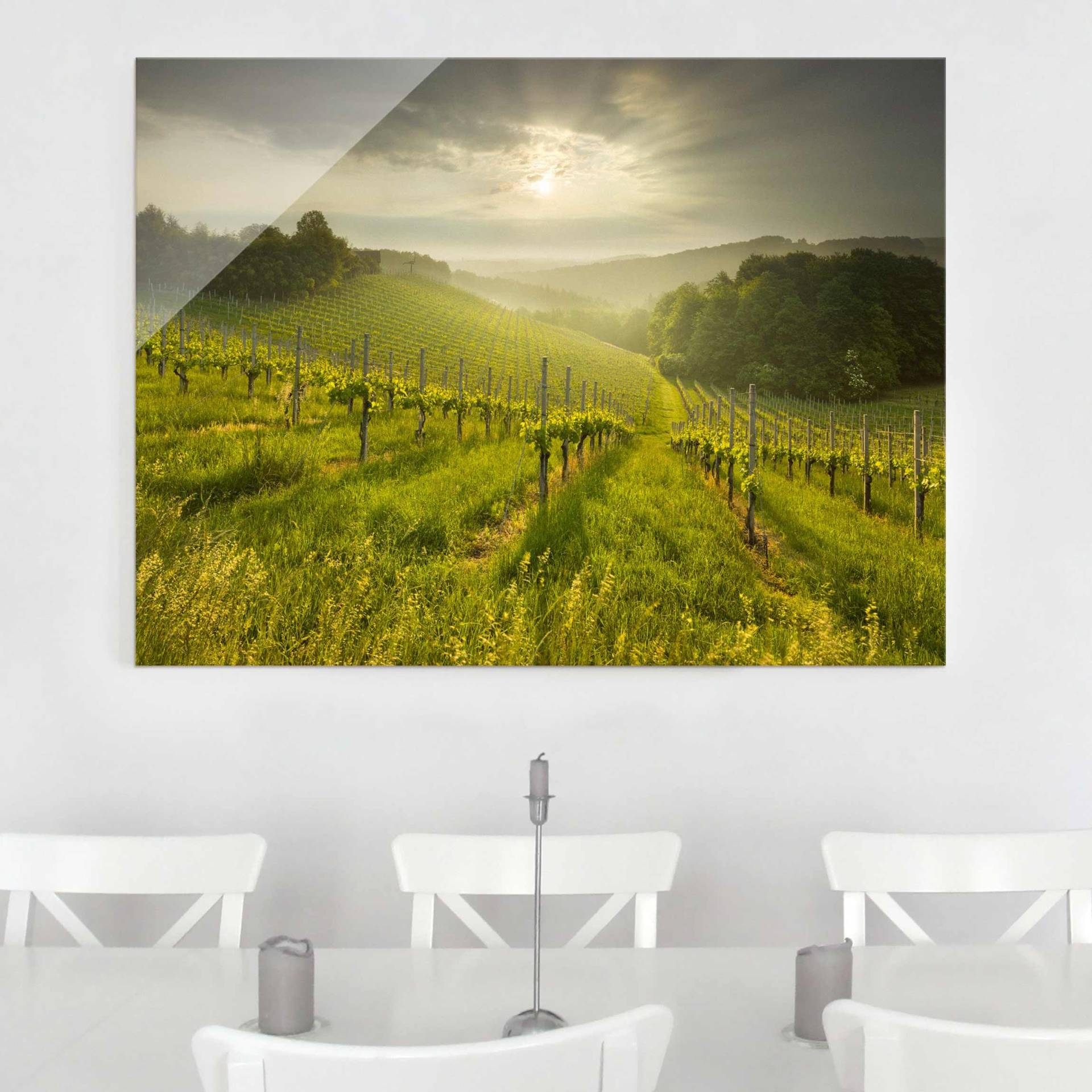 Glasbild Natur & Landschaft Sonnenstrahlen Weinberg von Klebefieber