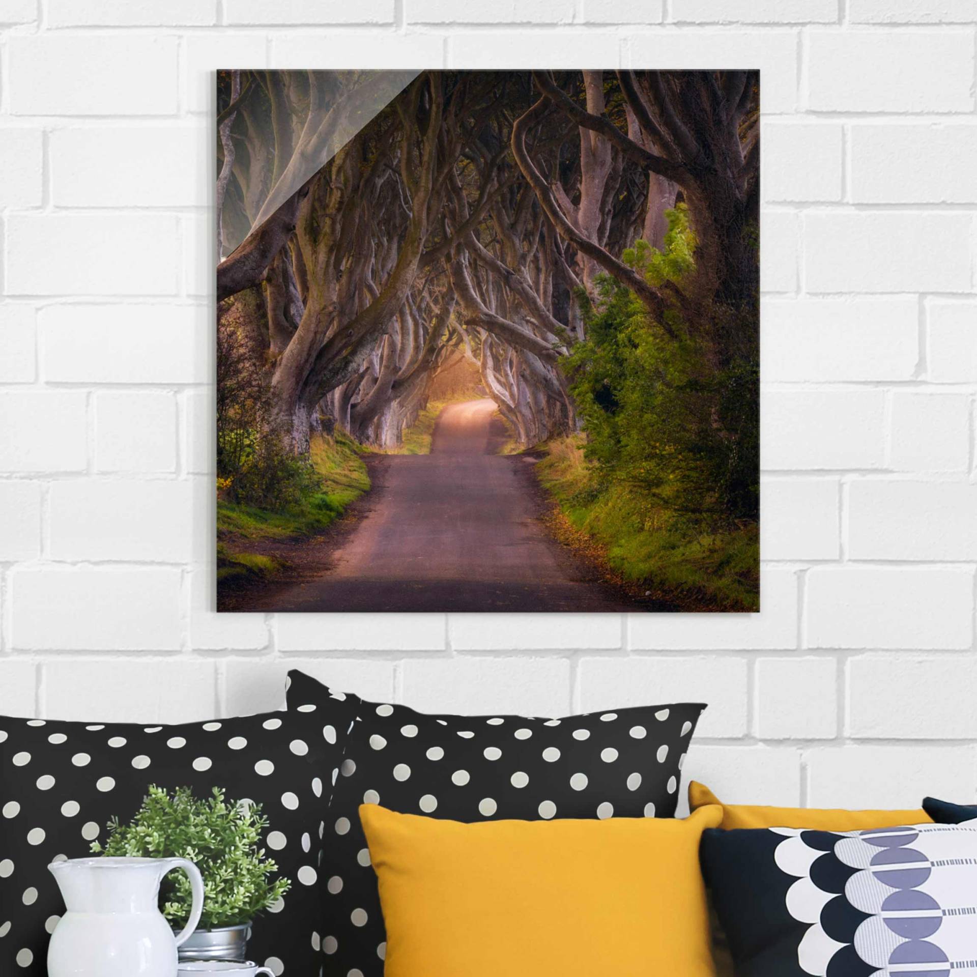 Glasbild Natur & Landschaft Tunnel aus Bäumen von Klebefieber