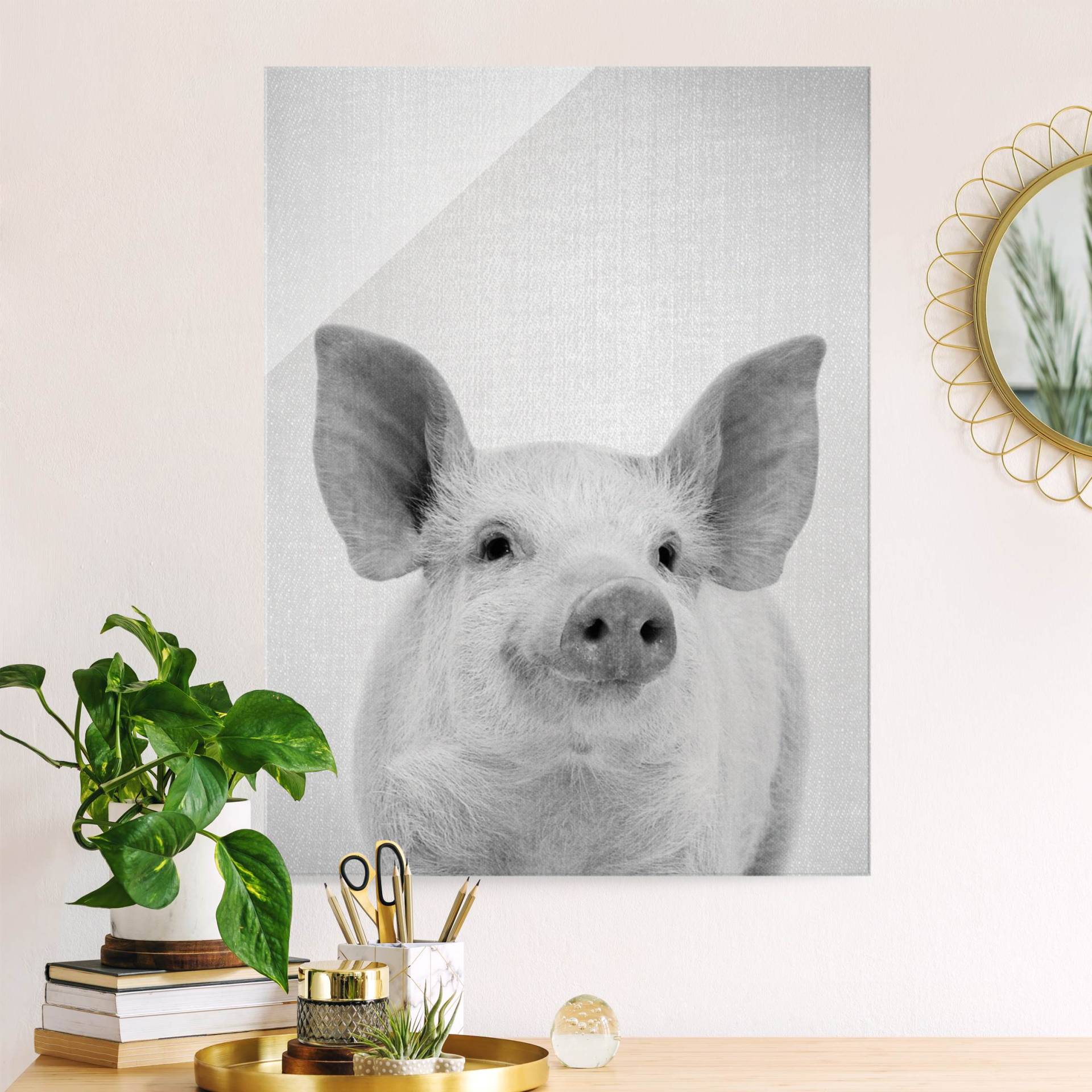 Glasbild Schwein Schorsch Schwarz Weiß von Klebefieber