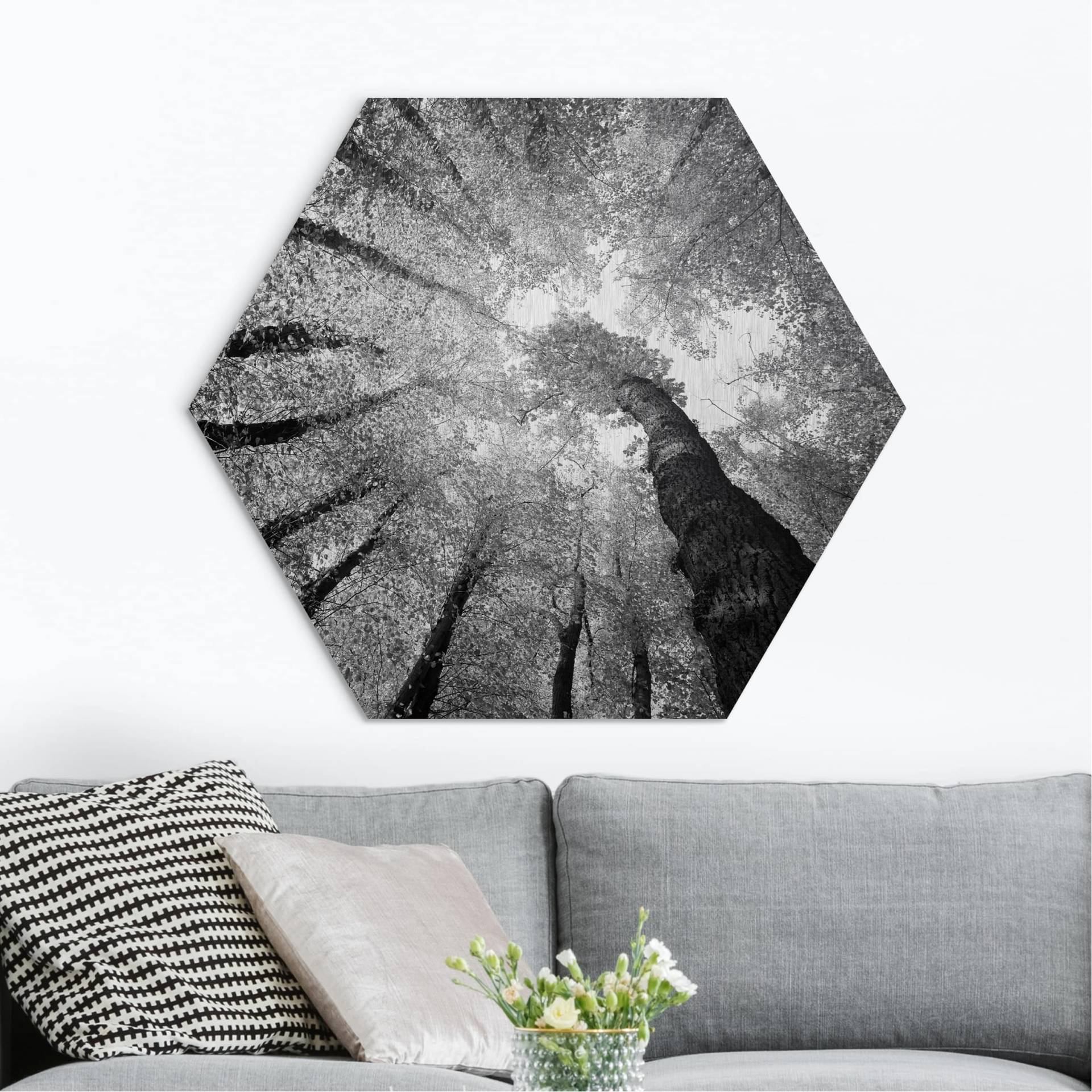 Hexagon-Alu-Dibond Bild Bäume des Lebens II von Klebefieber