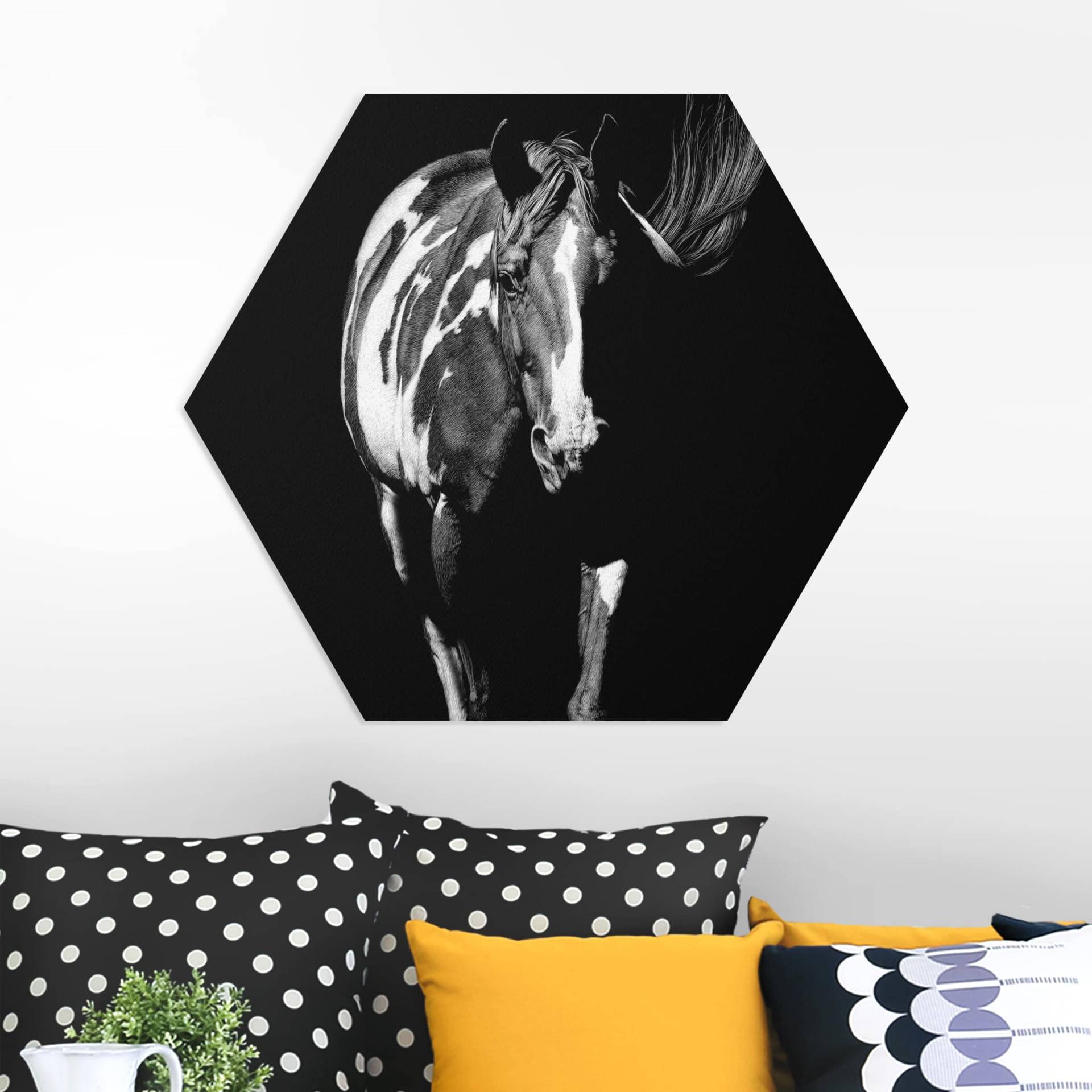 Hexagon-Forexbild Pferd vor Schwarz von Klebefieber