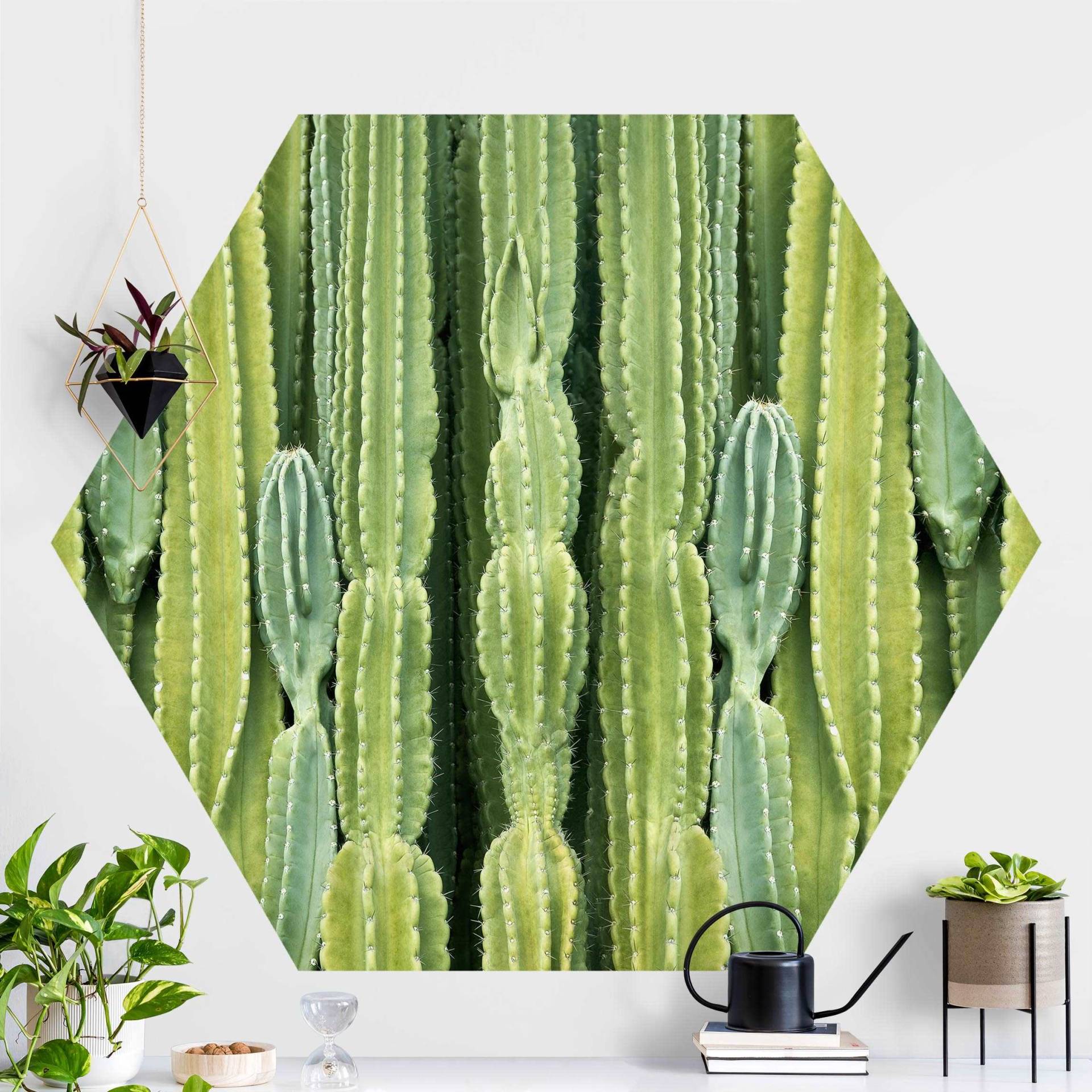 Hexagon Fototapete selbstklebend Kaktus Wand von Klebefieber