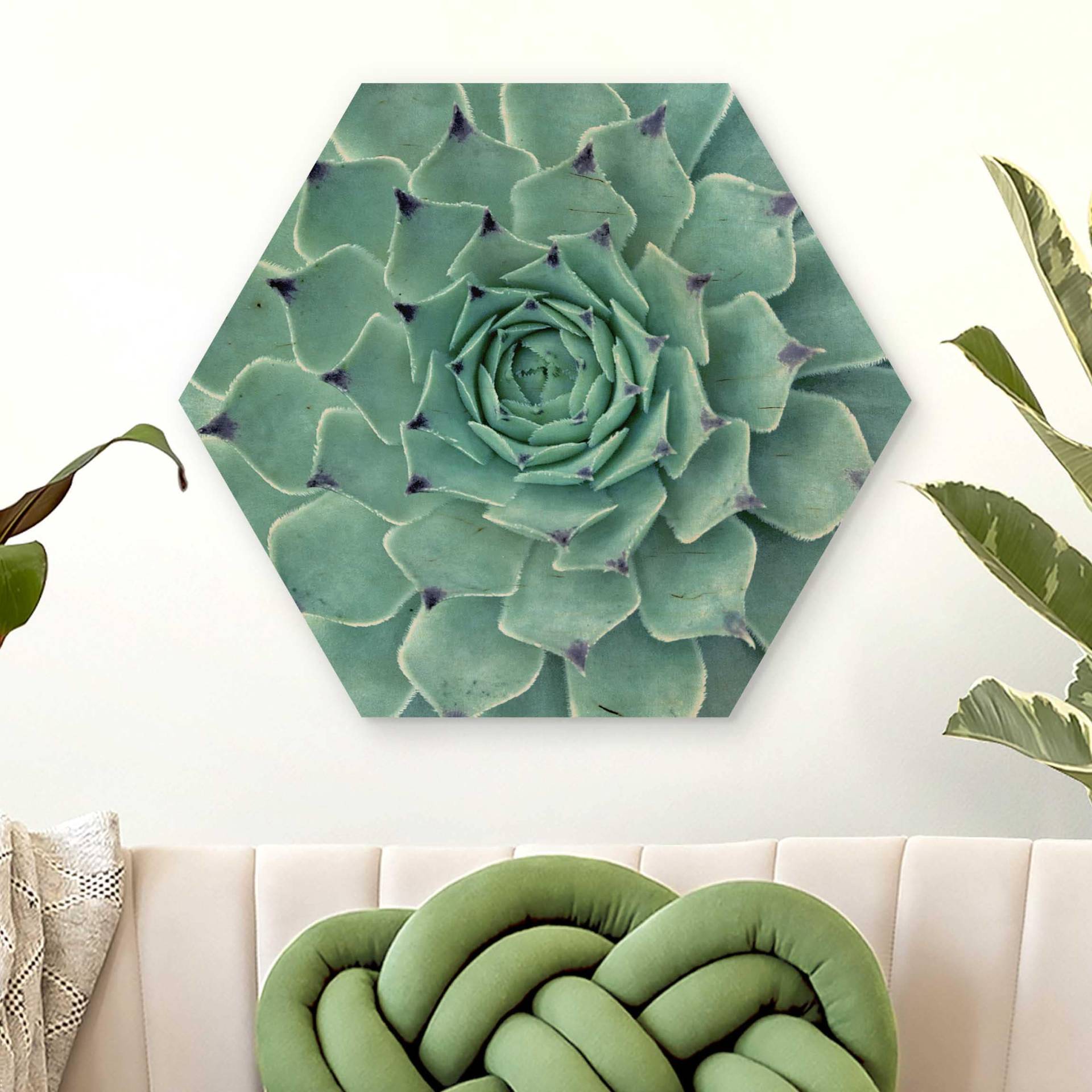 Hexagon-Holzbild Kaktus Agave von Klebefieber