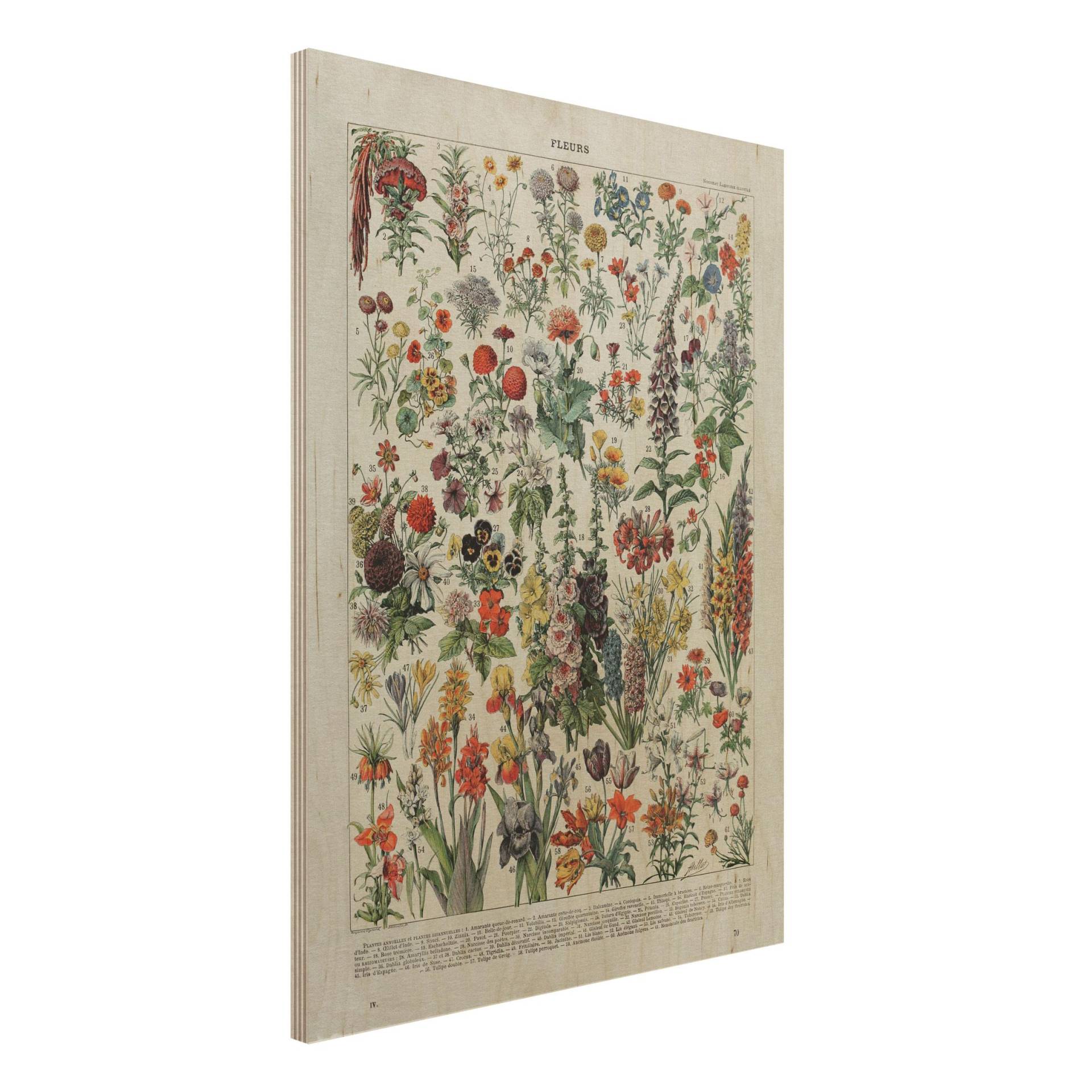 Holzbild Vintage Lehrtafel Blumen IV von Klebefieber