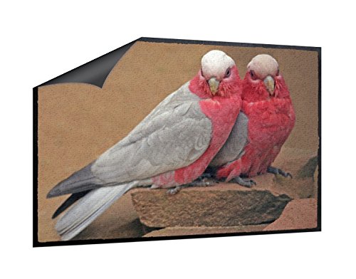 Klebefieber Fußmatte Zwei Rosakakadus B x H: 85cm x 60cm von Klebefieber