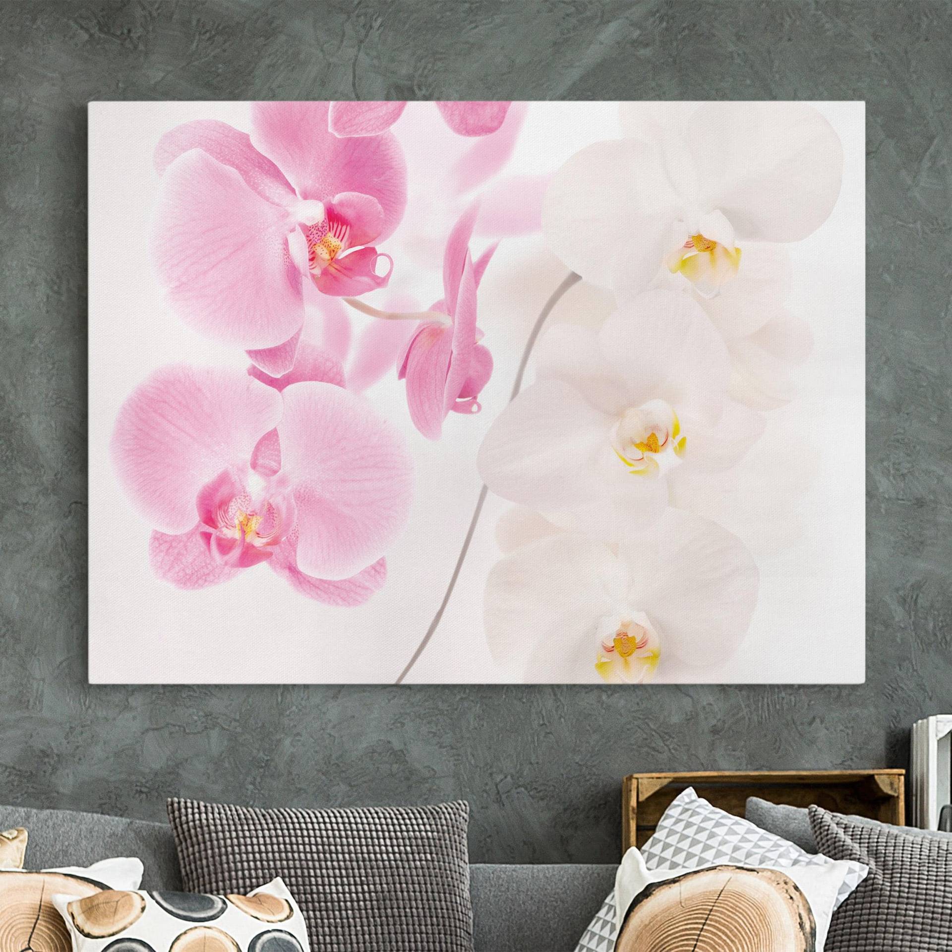 Leinwandbild Blumen Delicate Orchids von Klebefieber