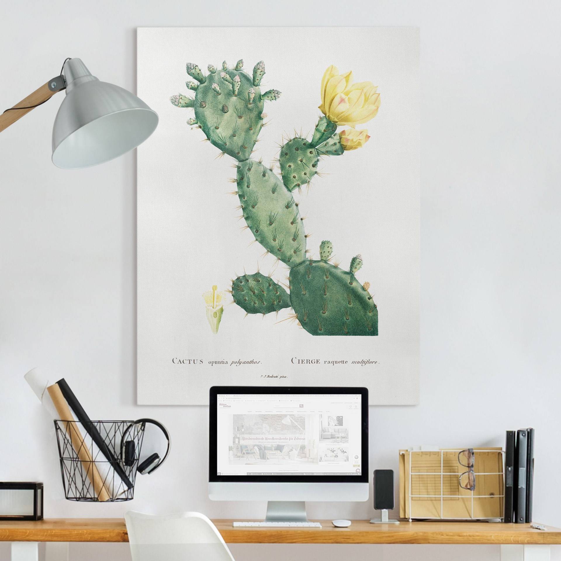 Leinwandbild Botanik Vintage Illustration Kaktus mit gelber Blüte von Klebefieber