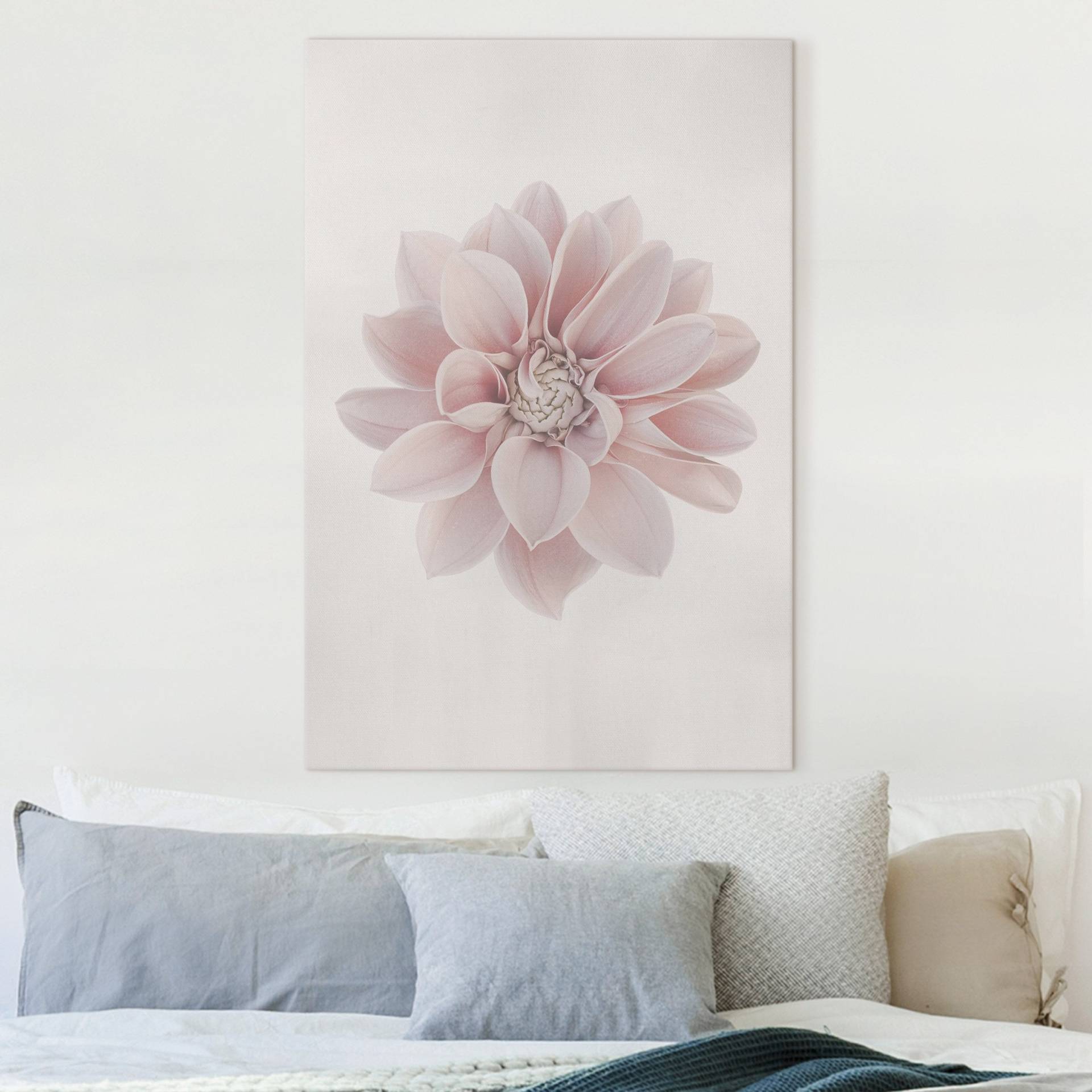 Leinwandbild Dahlie Blume Pastell Weiß Rosa von Klebefieber