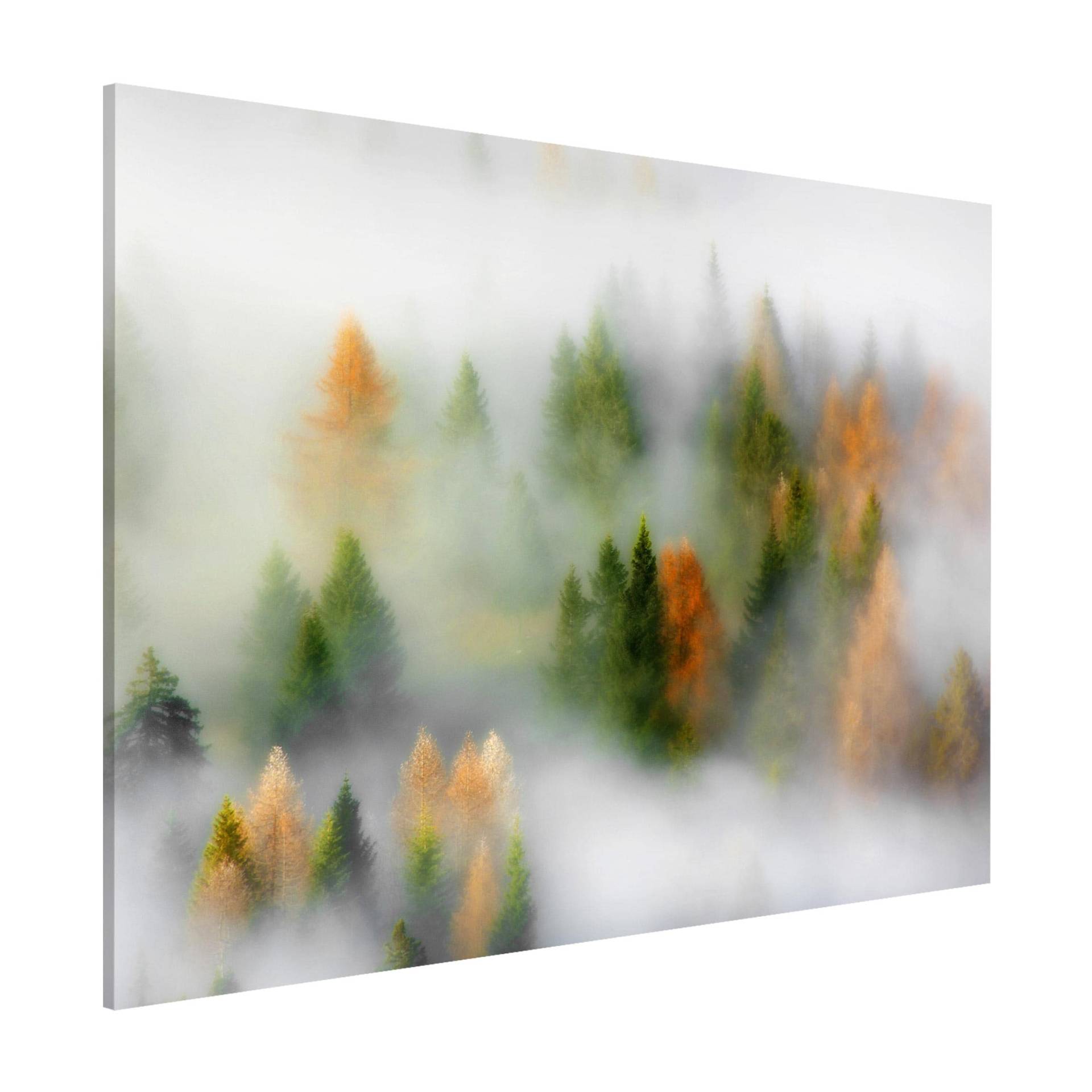 Magnettafel Nebelwald im Herbst von Klebefieber