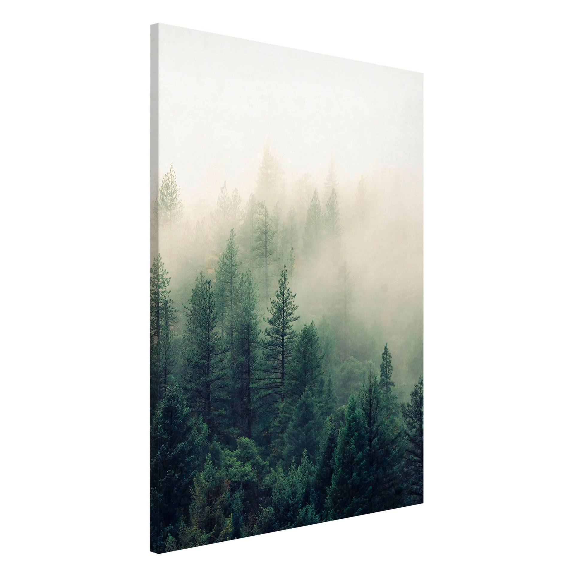 Magnettafel Wald im Nebel Erwachen von Klebefieber
