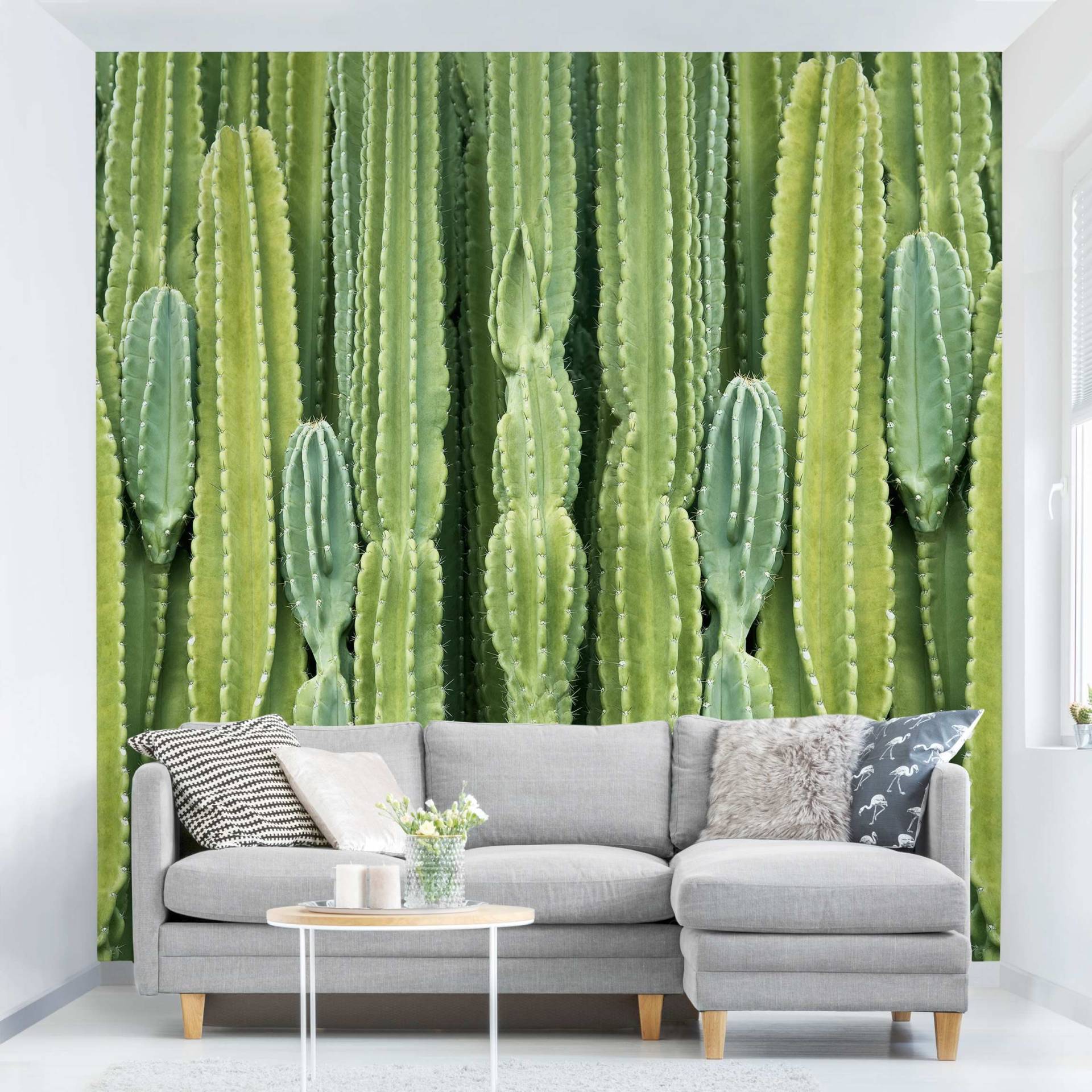 Mustertapete Kaktus Wand von Klebefieber