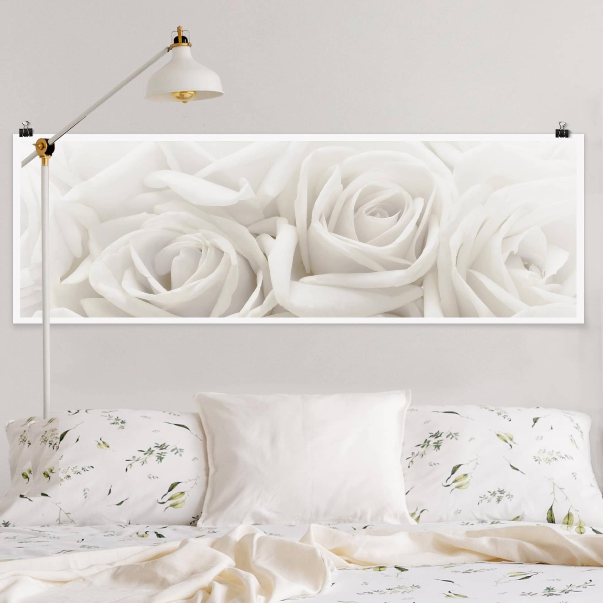 Panorama Poster Blumen Weiße Rosen von Klebefieber