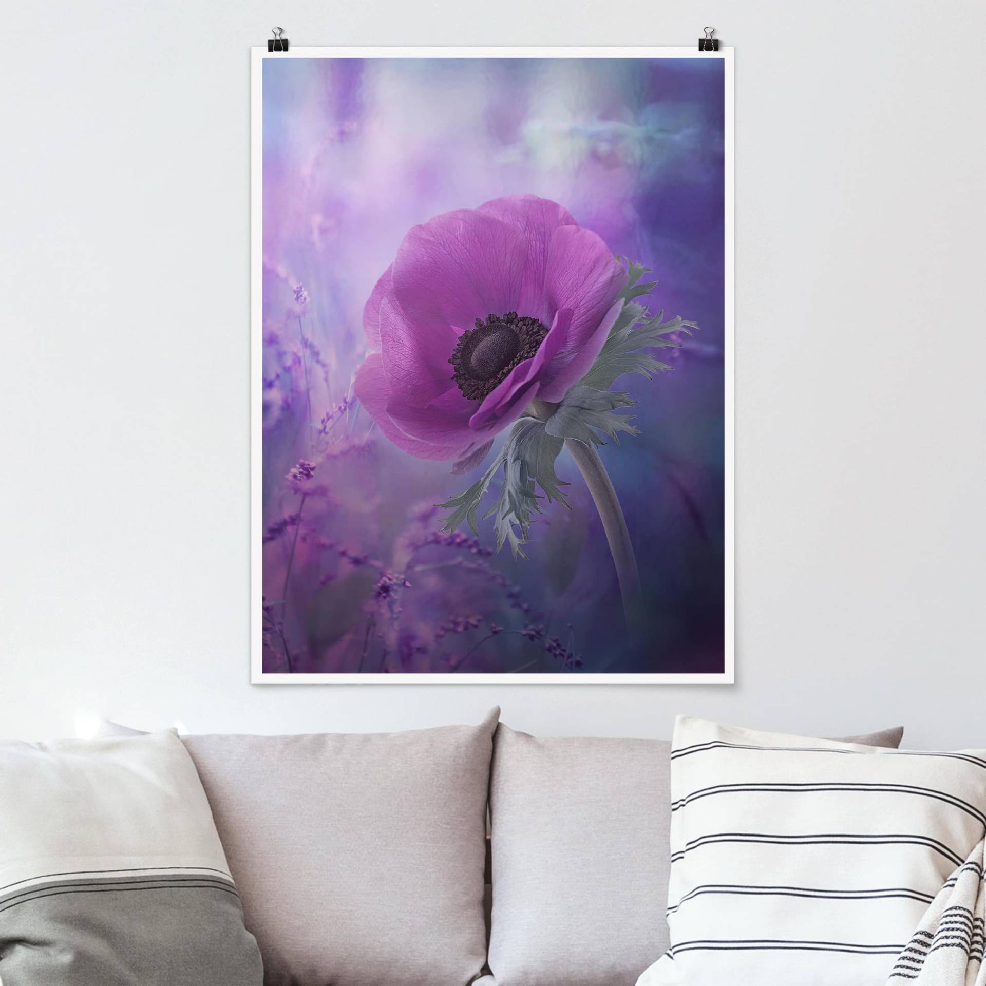 Poster Blumen Anemonenblüte in Violett von Klebefieber