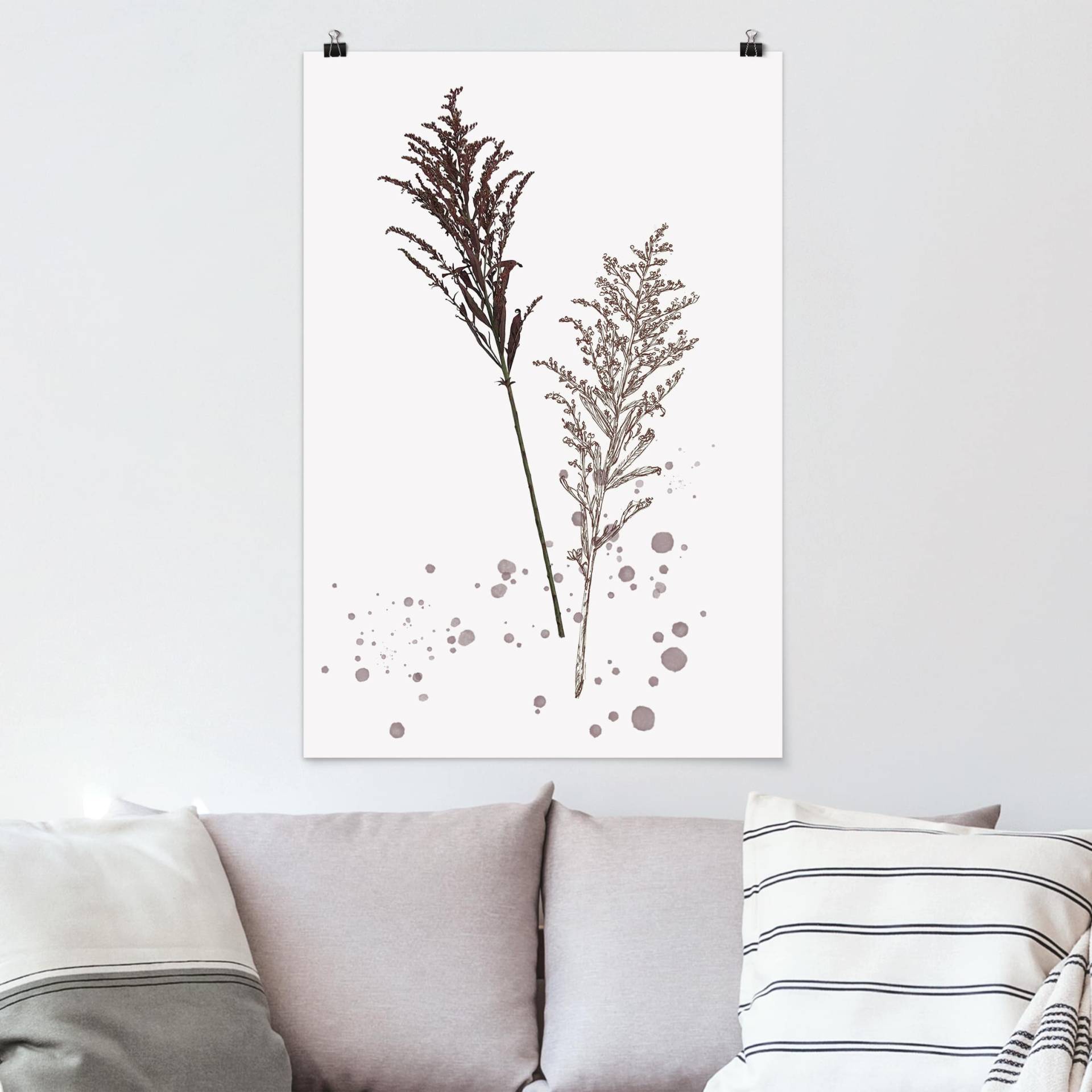 Poster Blumen Botanisches Aquarell - Schwingelschilf von Klebefieber