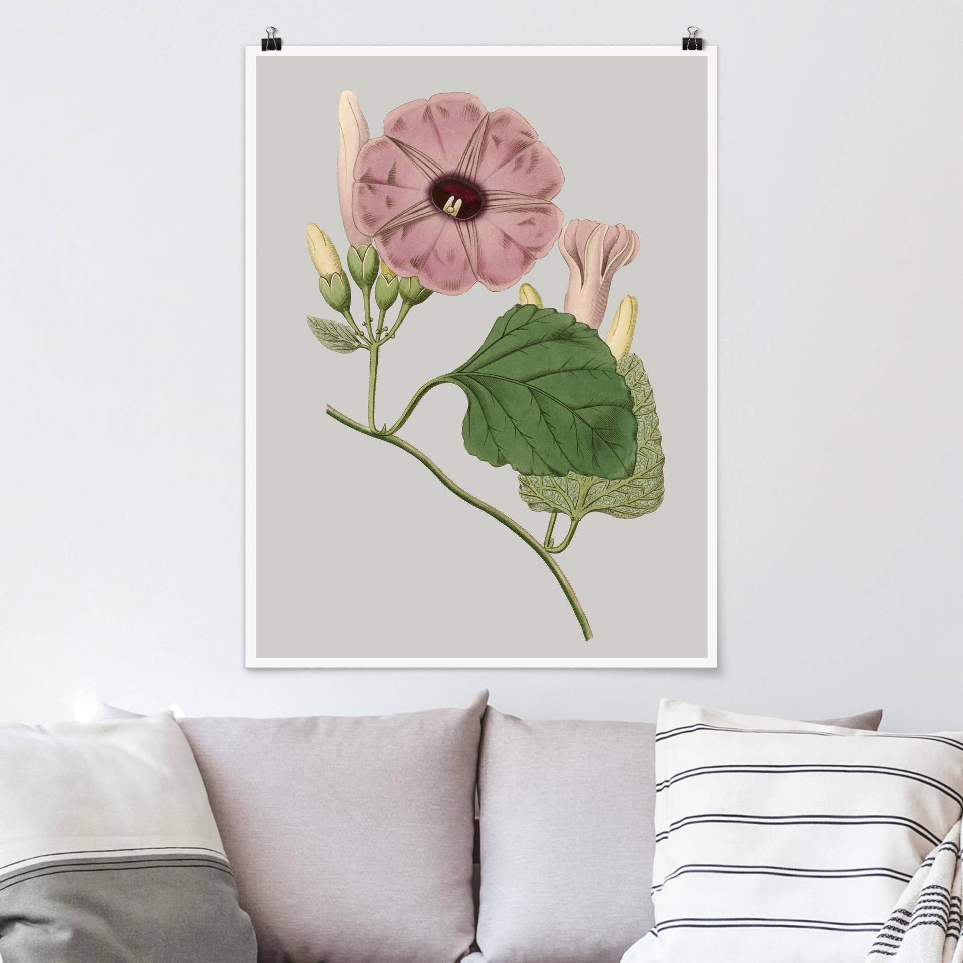 Poster Blumen Florale Schmuckstücke III von Klebefieber