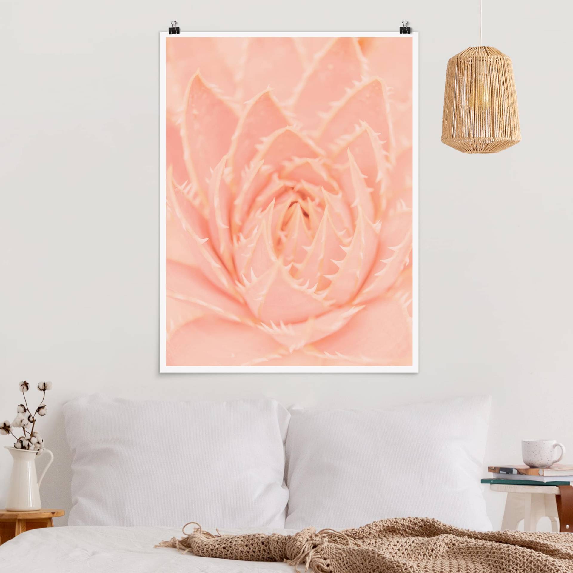 Poster Blumen Rosa Blütenzauber Agave von Klebefieber