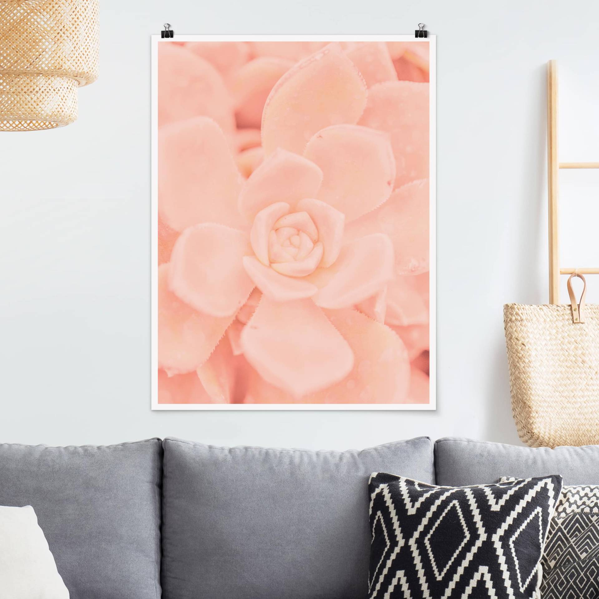 Poster Blumen Rosa Blütenzauber Echeveria von Klebefieber