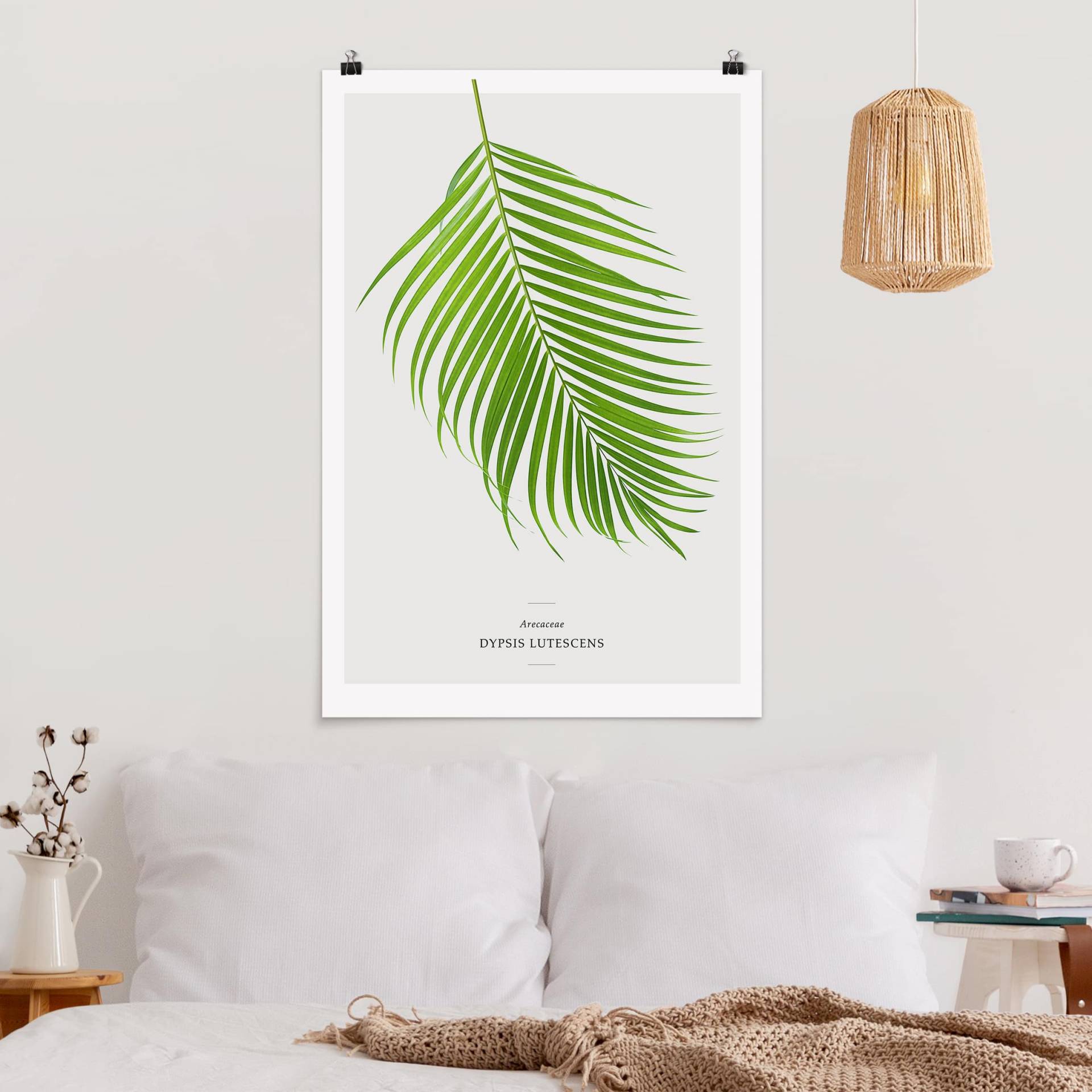 Poster Blumen Tropisches Blatt Areca Palme von Klebefieber
