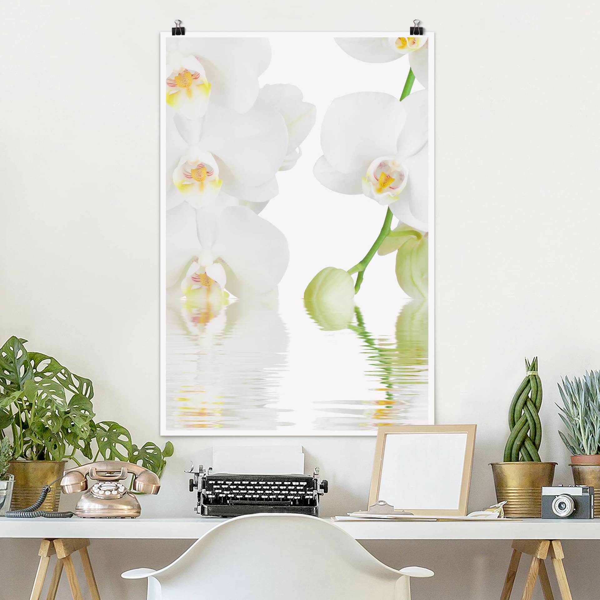 Poster Blumen Wellness Orchidee - Weiße Orchidee von Klebefieber